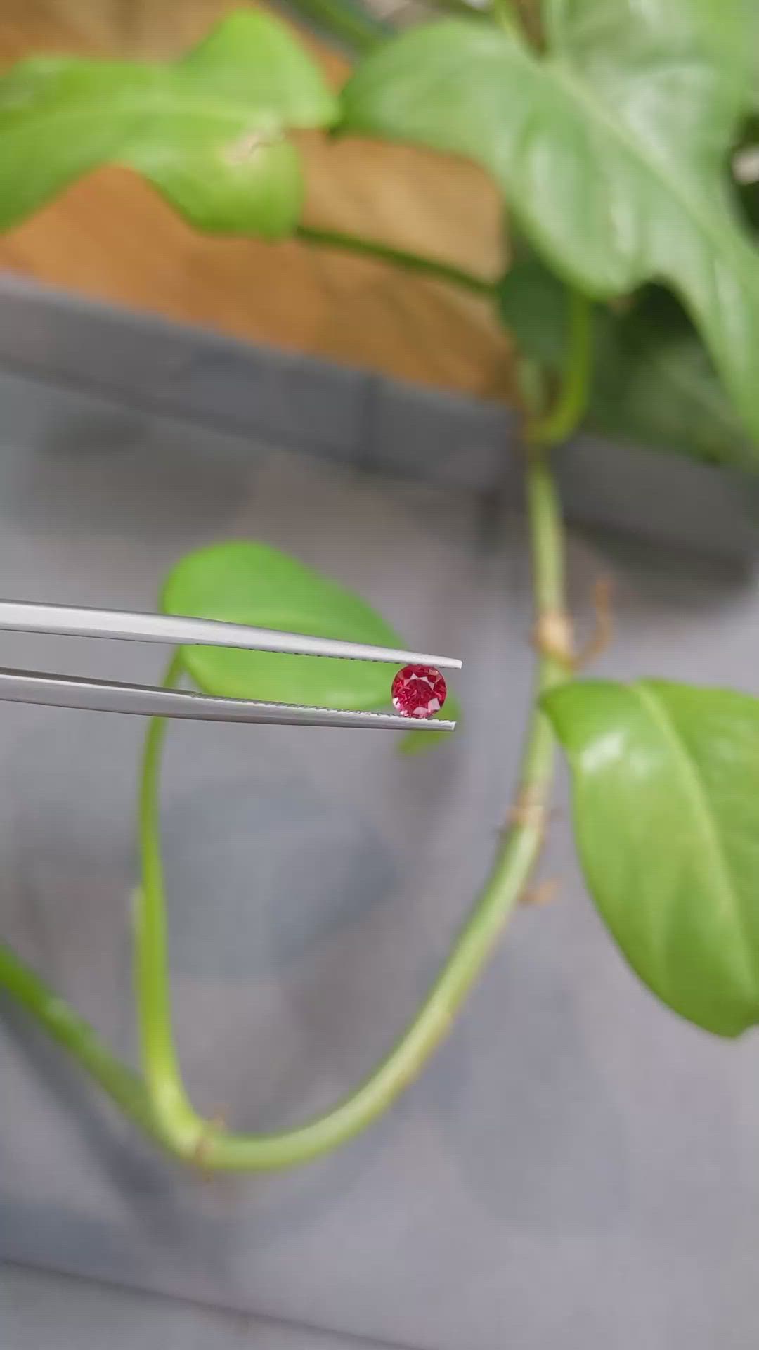 0.41 Ct. Ruby from Thailand Size Video