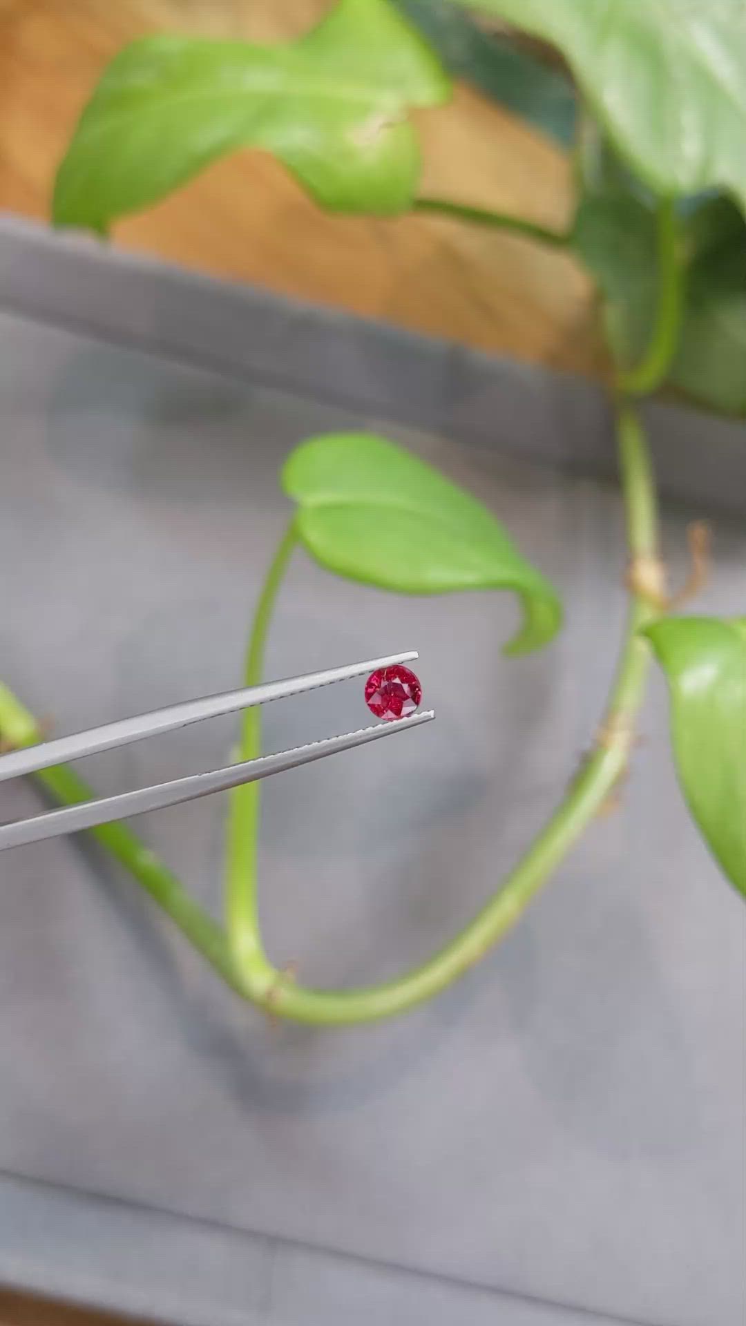 0.54 Ct. Ruby from Thailand Size Video