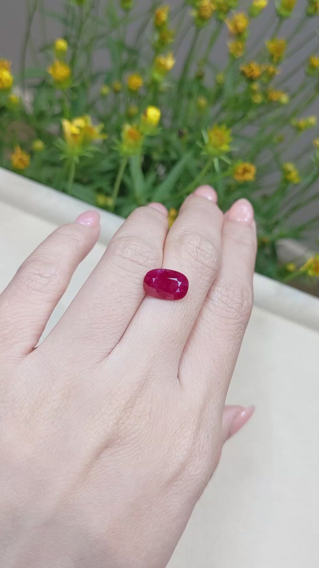 3.64 Ct. Ruby from Mozambique Size Video