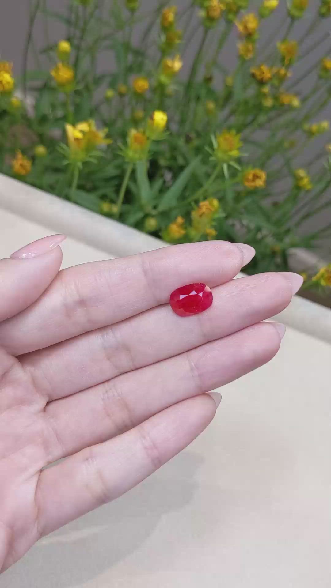 3.77 Ct. Ruby from Mozambique Size Video