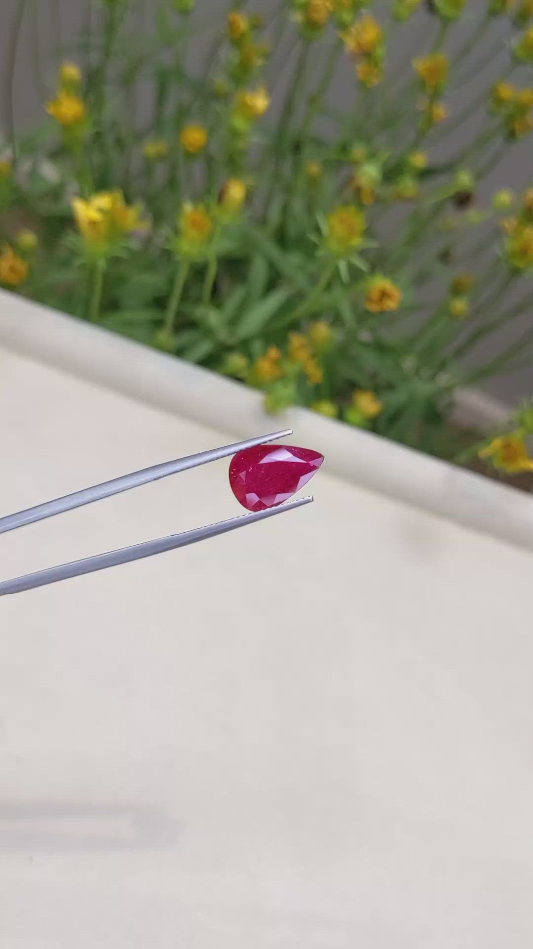 3.67 Ct. Ruby from Mozambique Size Video