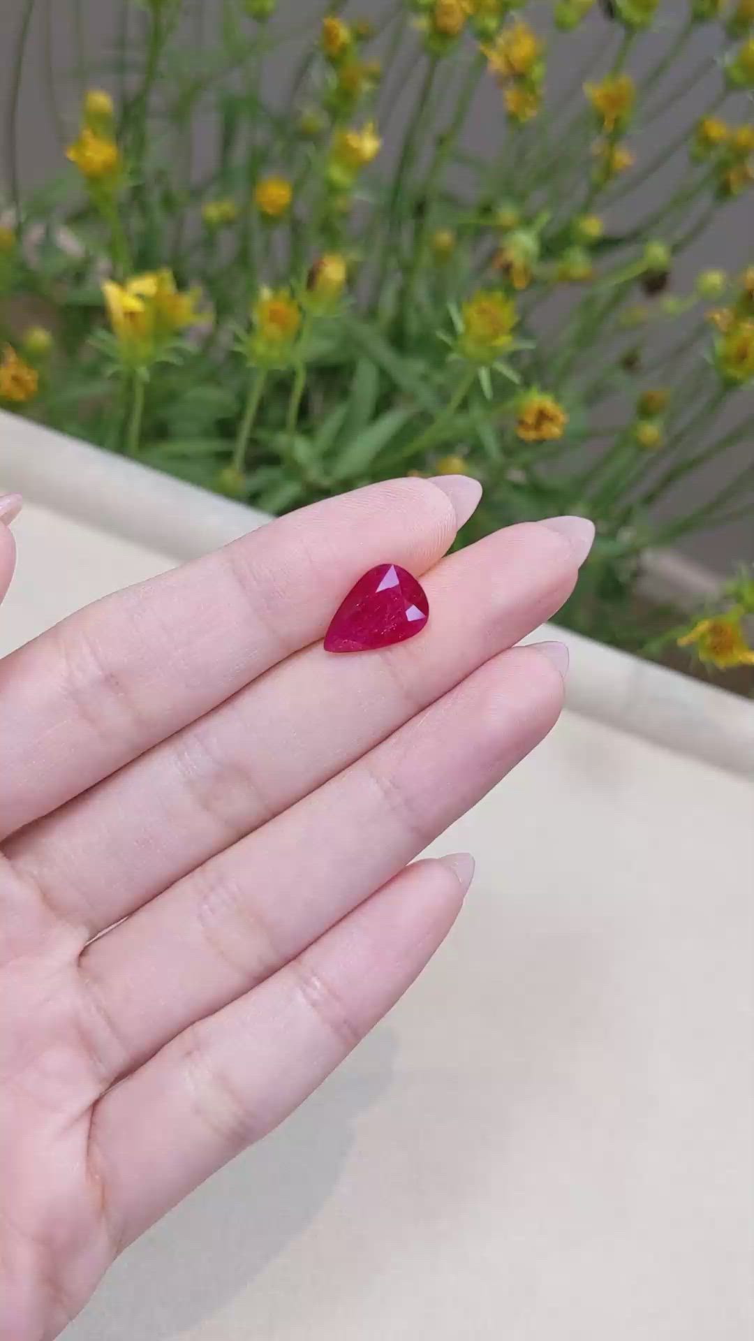3.67 Ct. Ruby from Mozambique Size Video