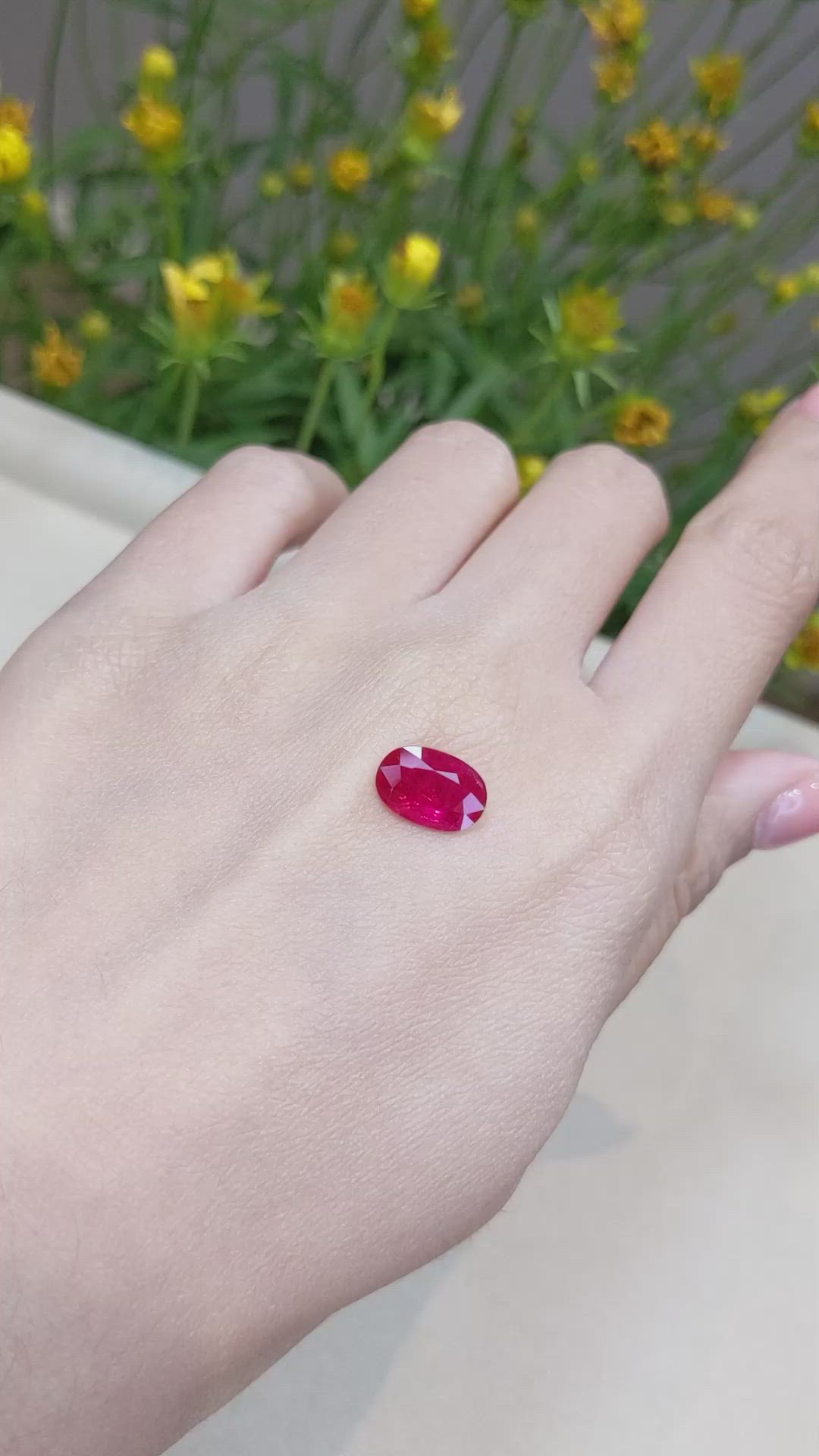2.49 Ct. Ruby from Mozambique Size Video