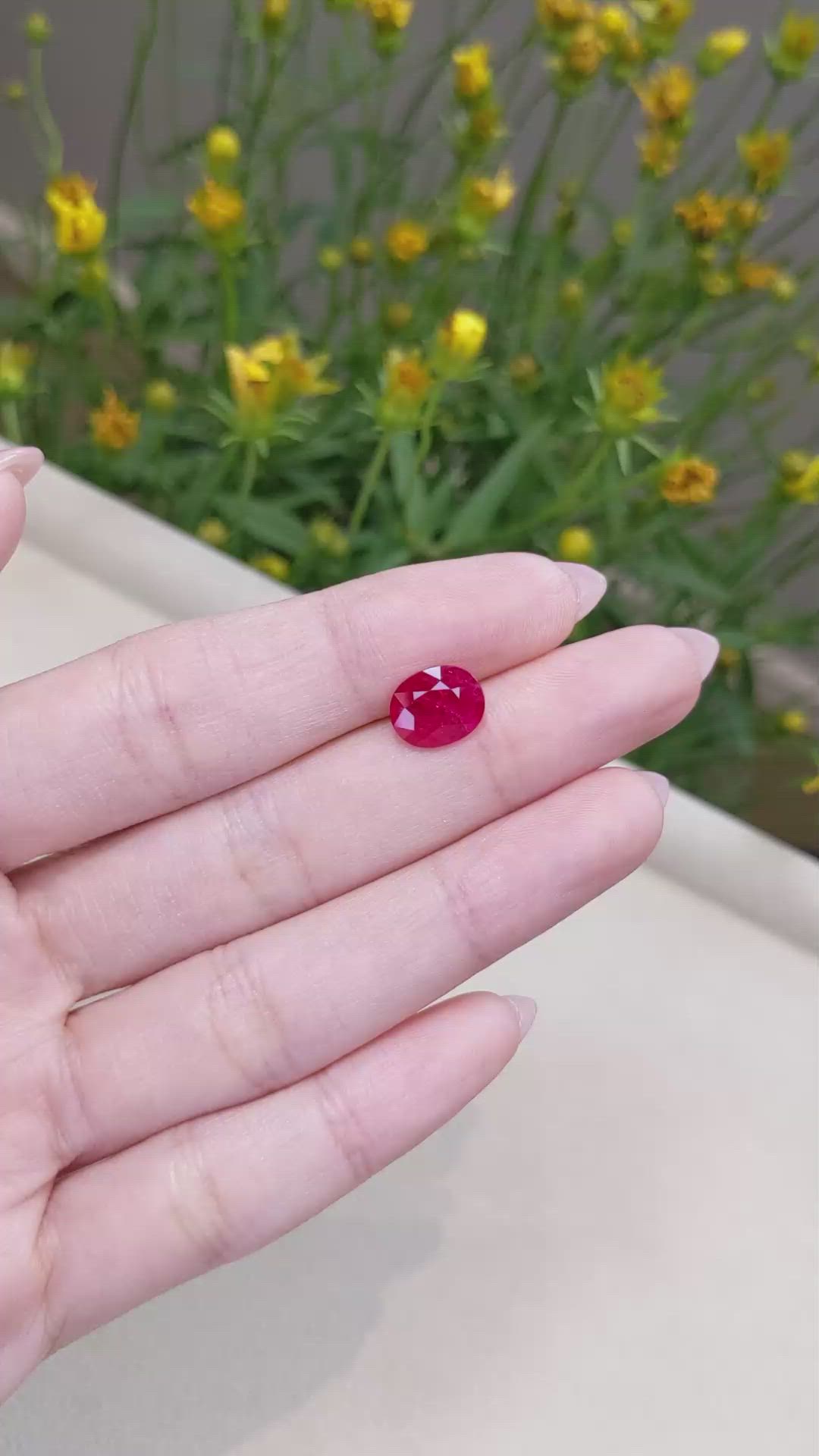 2.68 Ct. Ruby from Mozambique Size Video