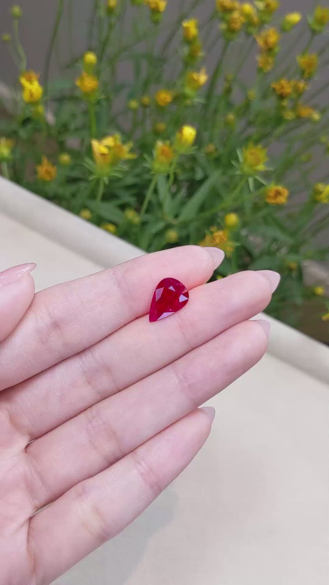 2.57 Ct. Ruby from Mozambique Size Video