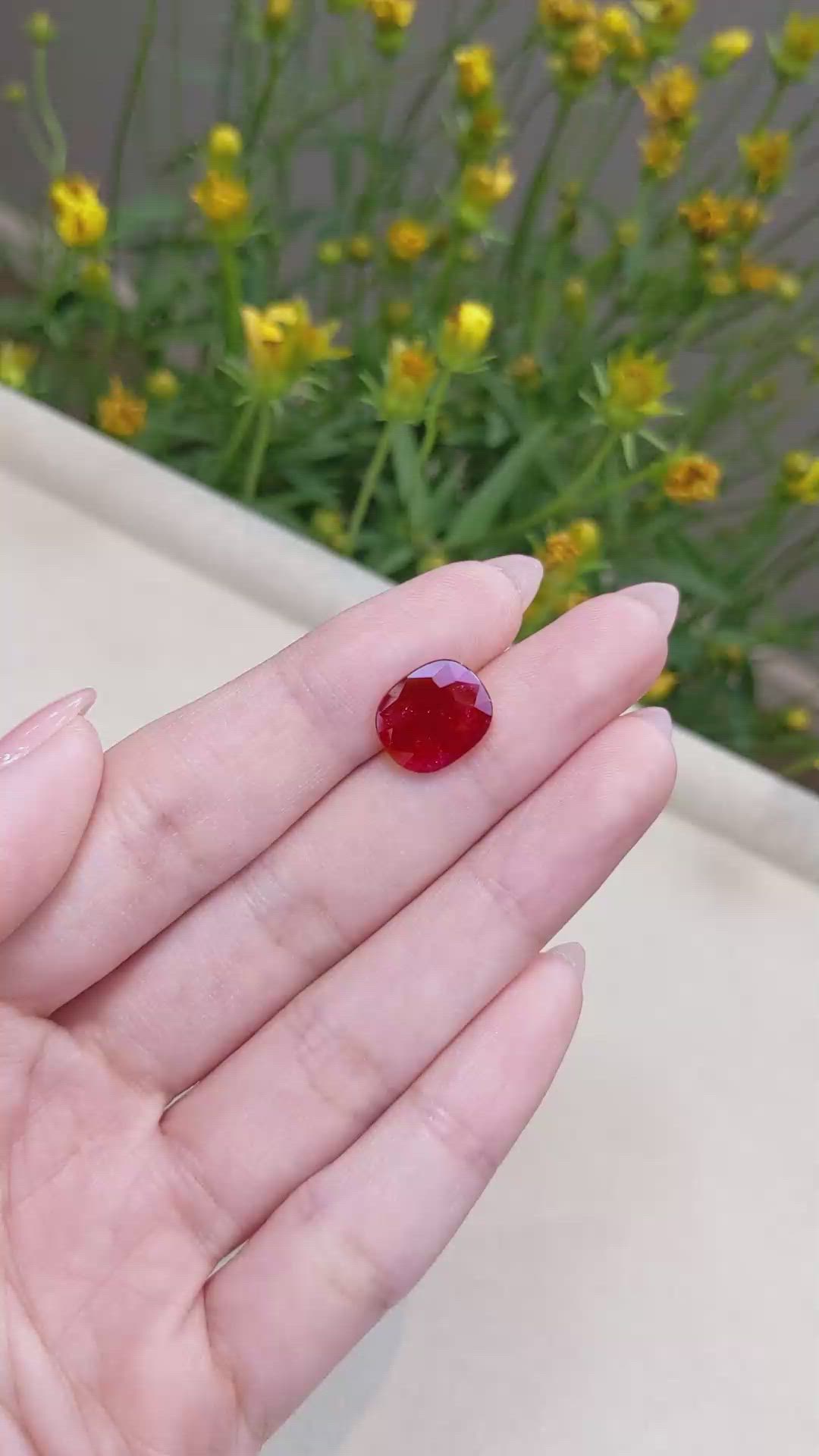 4.79 Ct. Ruby from Mozambique Size Video