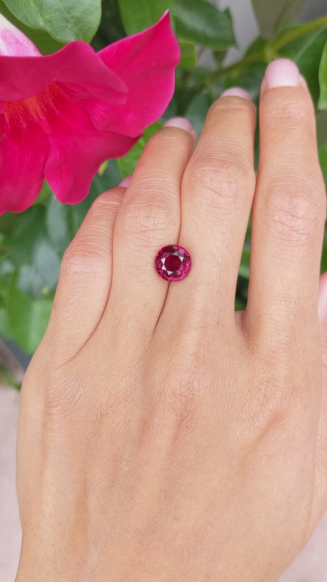 3.54 Ct. Ruby from Mozambique Size Video