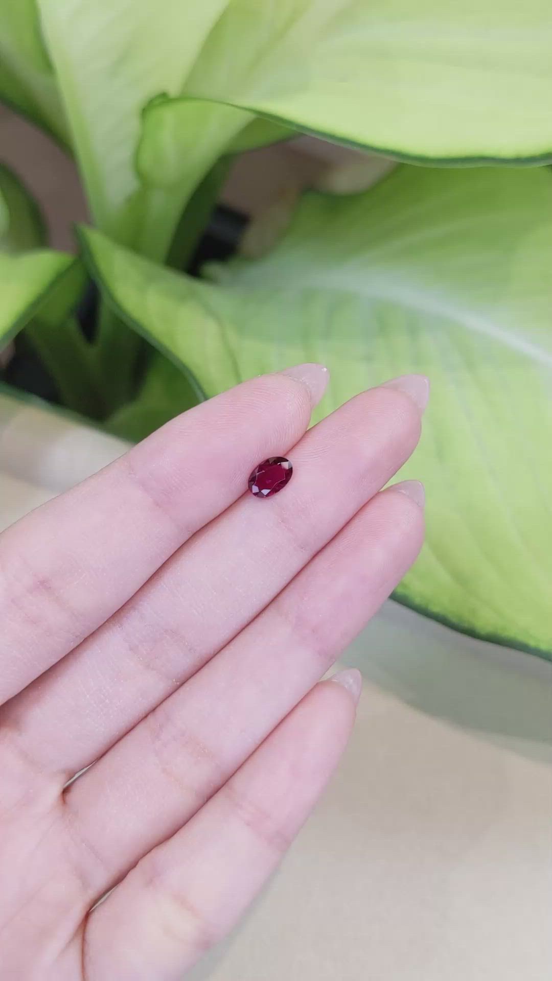 0.65 Ct. Ruby from Thailand Size Video