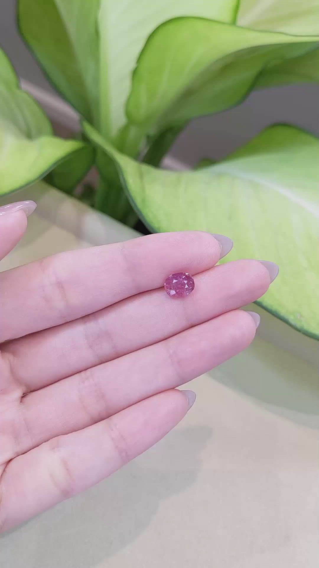 1.65 Ct. Ruby from Mozambique Size Video