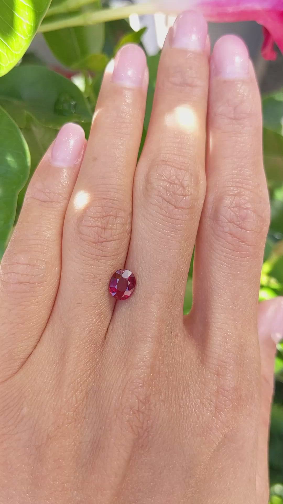 1.47 Ct. Ruby from Mozambique Size Video
