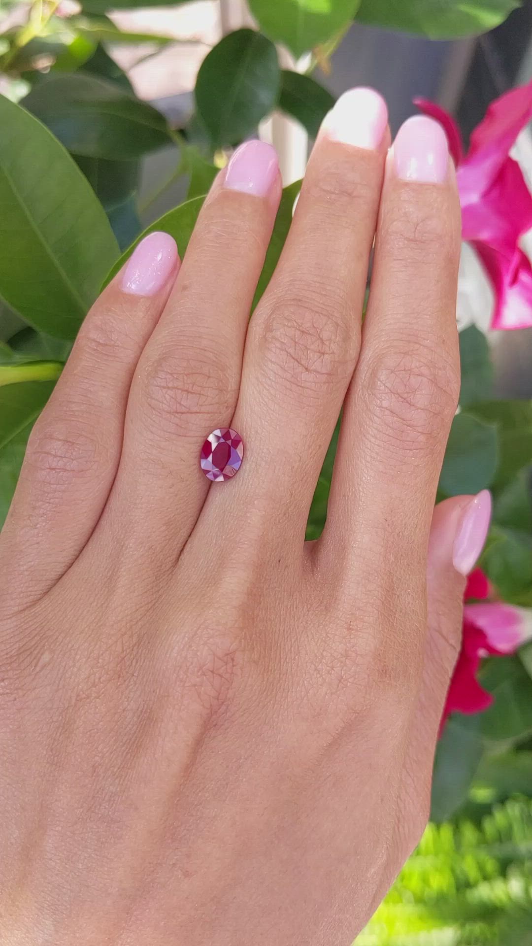 1.70 Ct. Ruby from Thailand Size Video