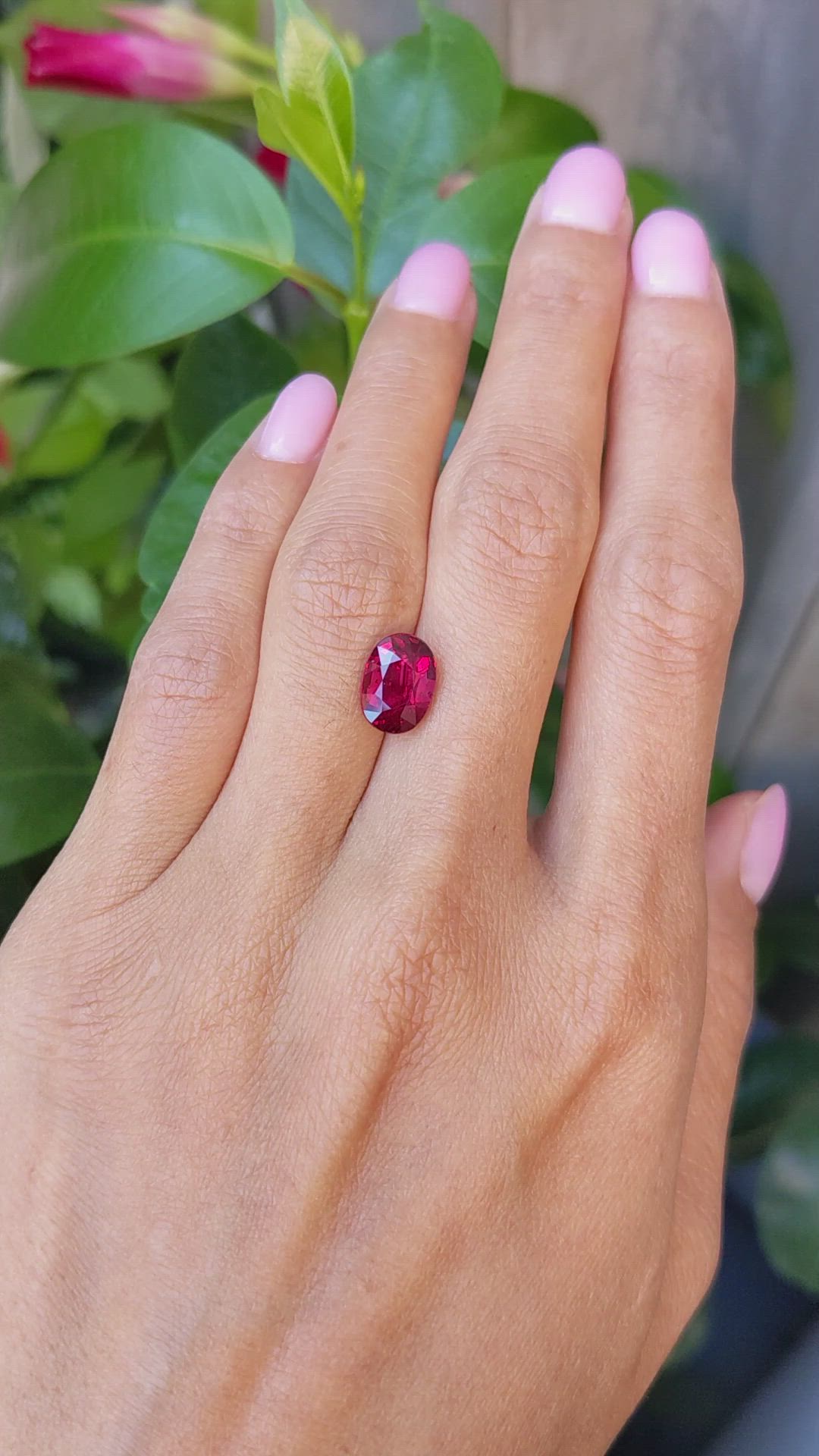 4.02 Ct. Ruby from Mozambique Size Video