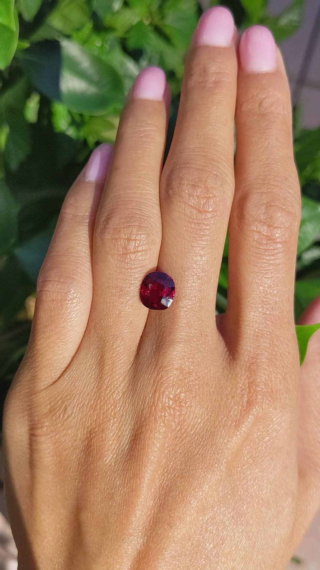 3.10 Ct. Ruby from Mozambique Size Video