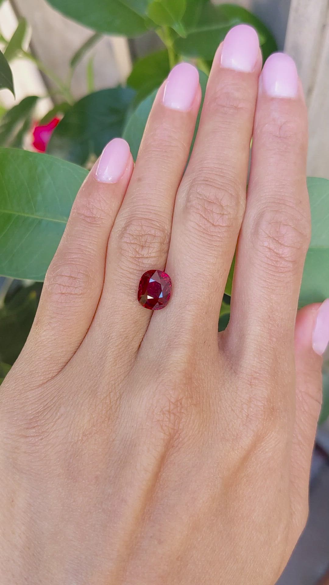 4.04 Ct. Ruby from Mozambique Size Video