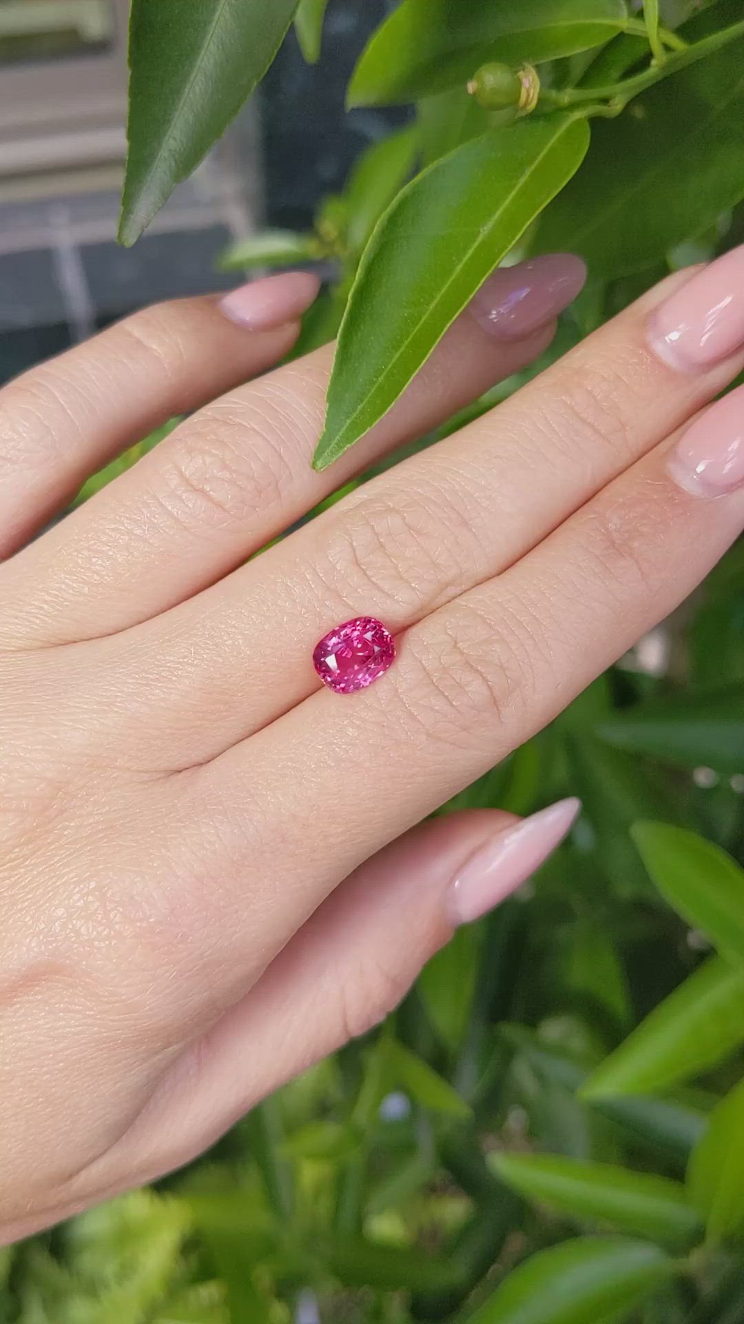 2.67 Ct. Ruby from Mozambique Size Video