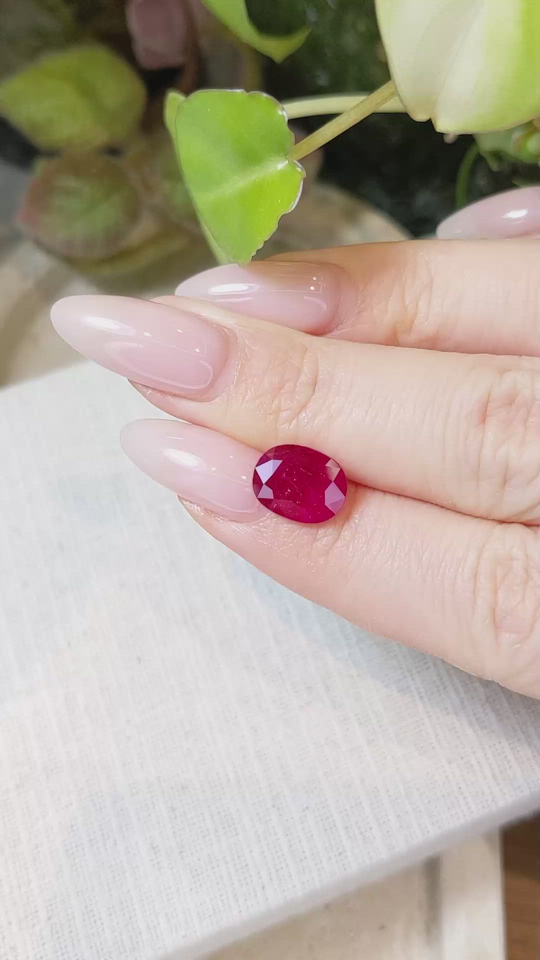 3.39 Ct. Ruby from Mozambique Size Video