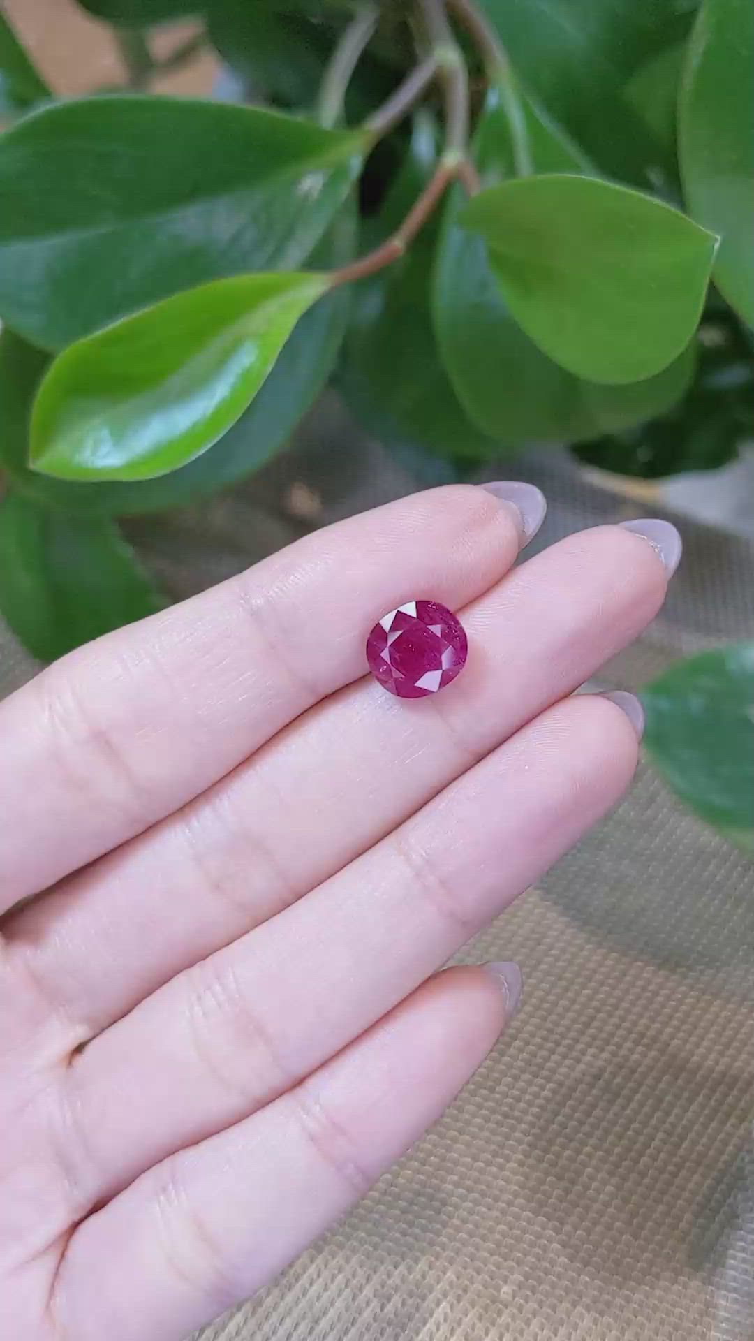 4.30 Ct. Ruby from Mozambique Size Video
