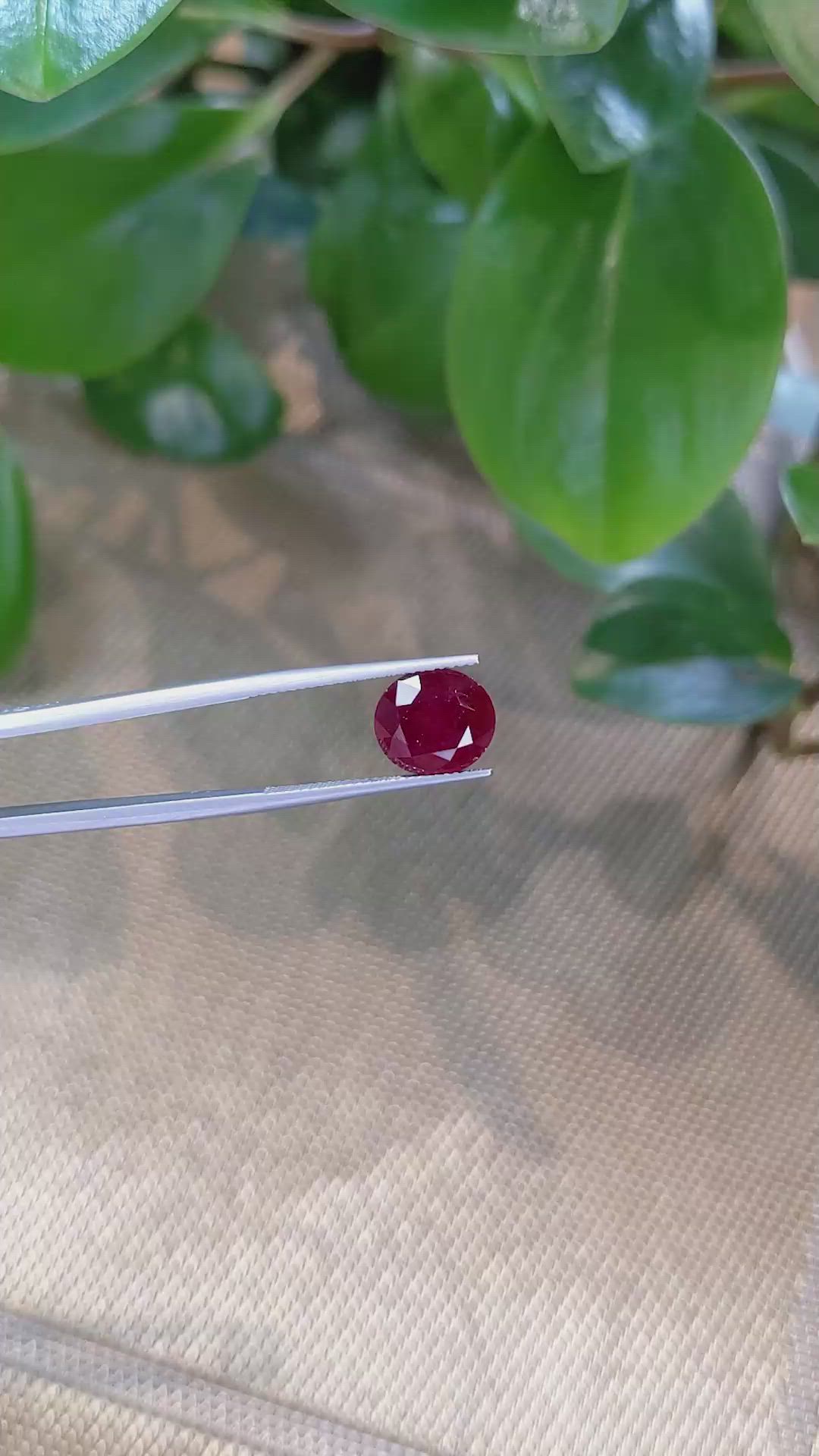 6.04 Ct. Ruby from Mozambique Size Video