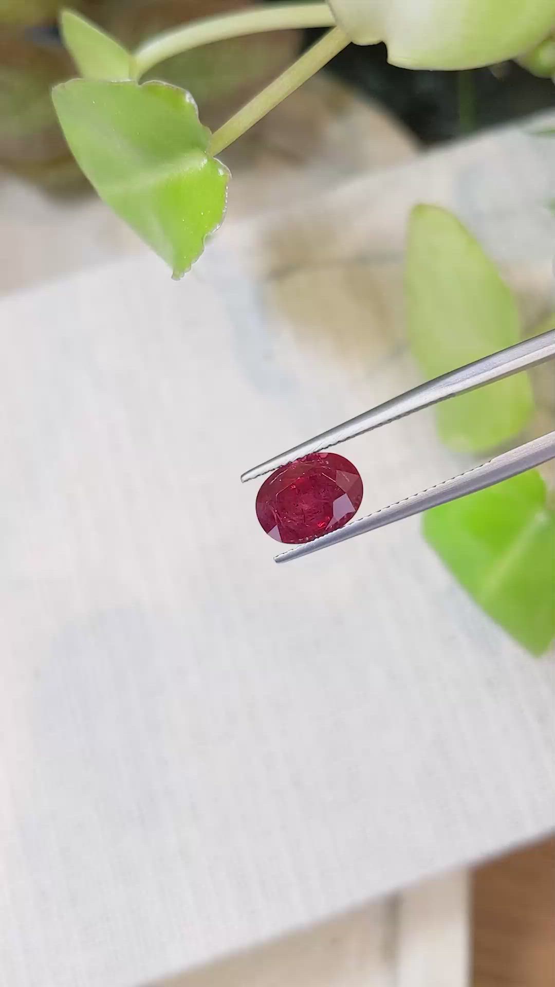 3.64 Ct. Ruby from Mozambique Size Video