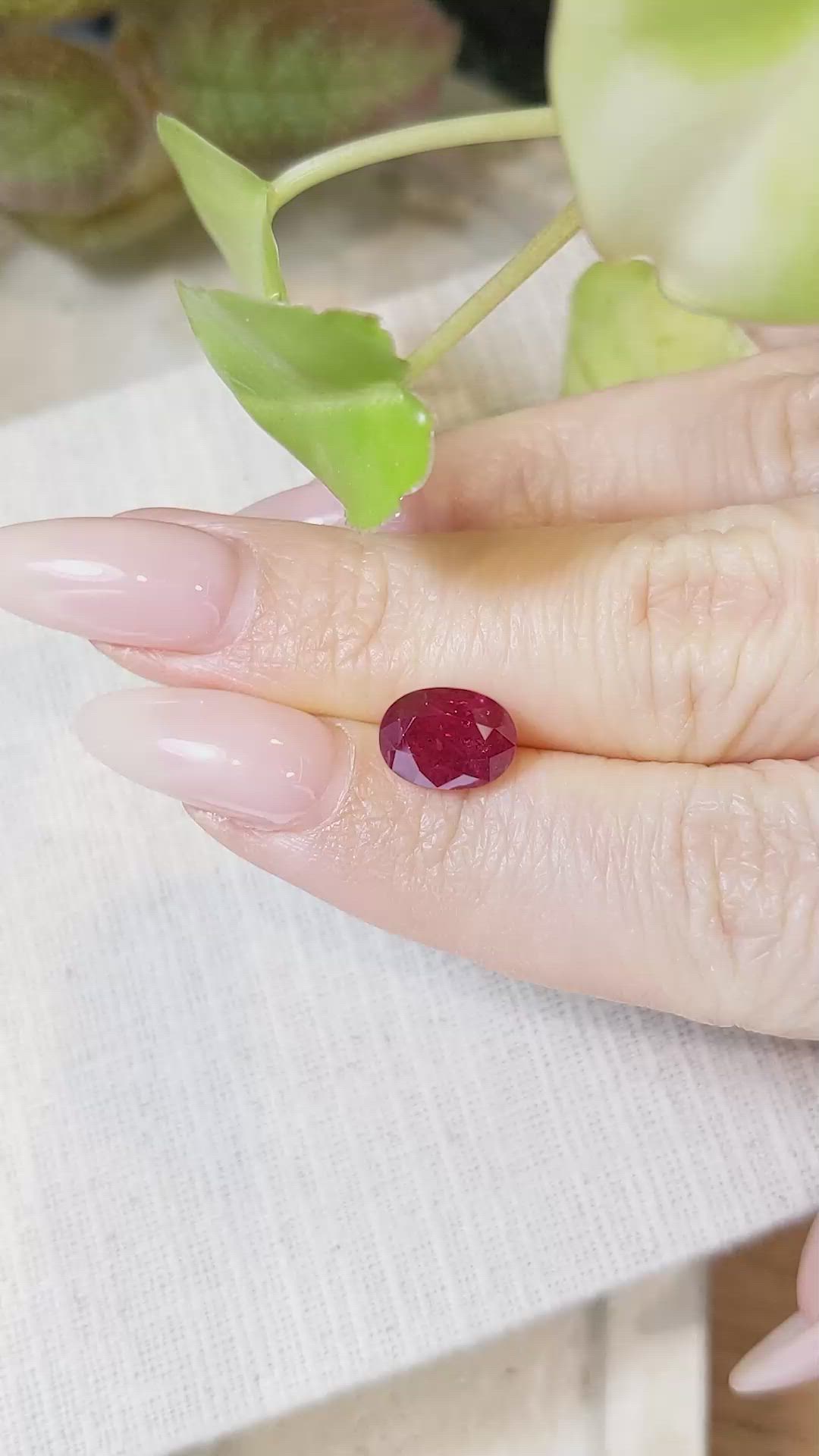 3.64 Ct. Ruby from Mozambique Size Video