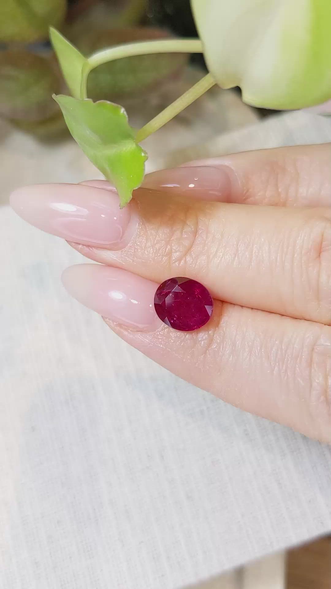 3.36 Ct. Ruby from Mozambique Size Video