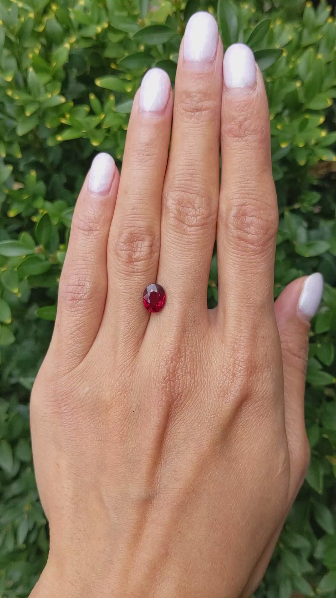 2.24 Ct. Ruby from Mozambique Size Video