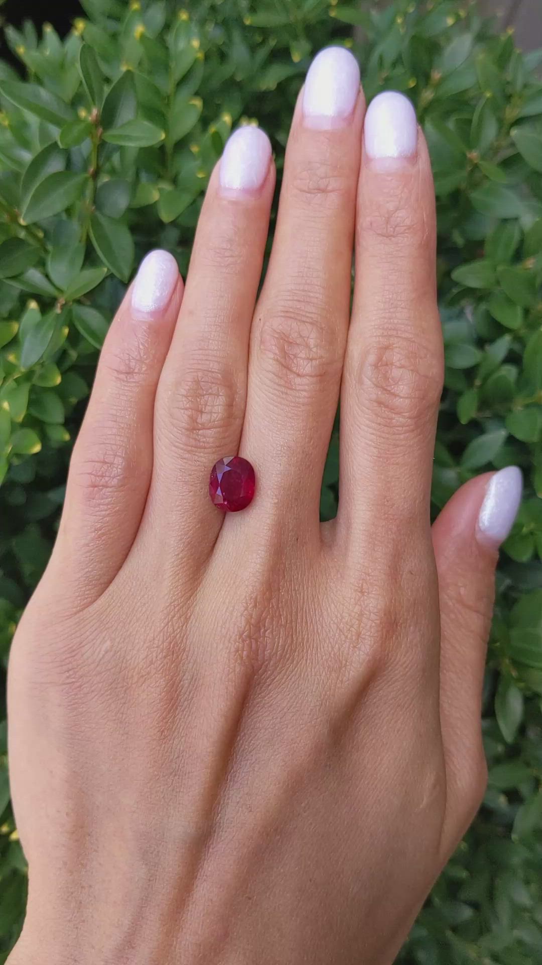 3.47 Ct. Ruby from Mozambique Size Video