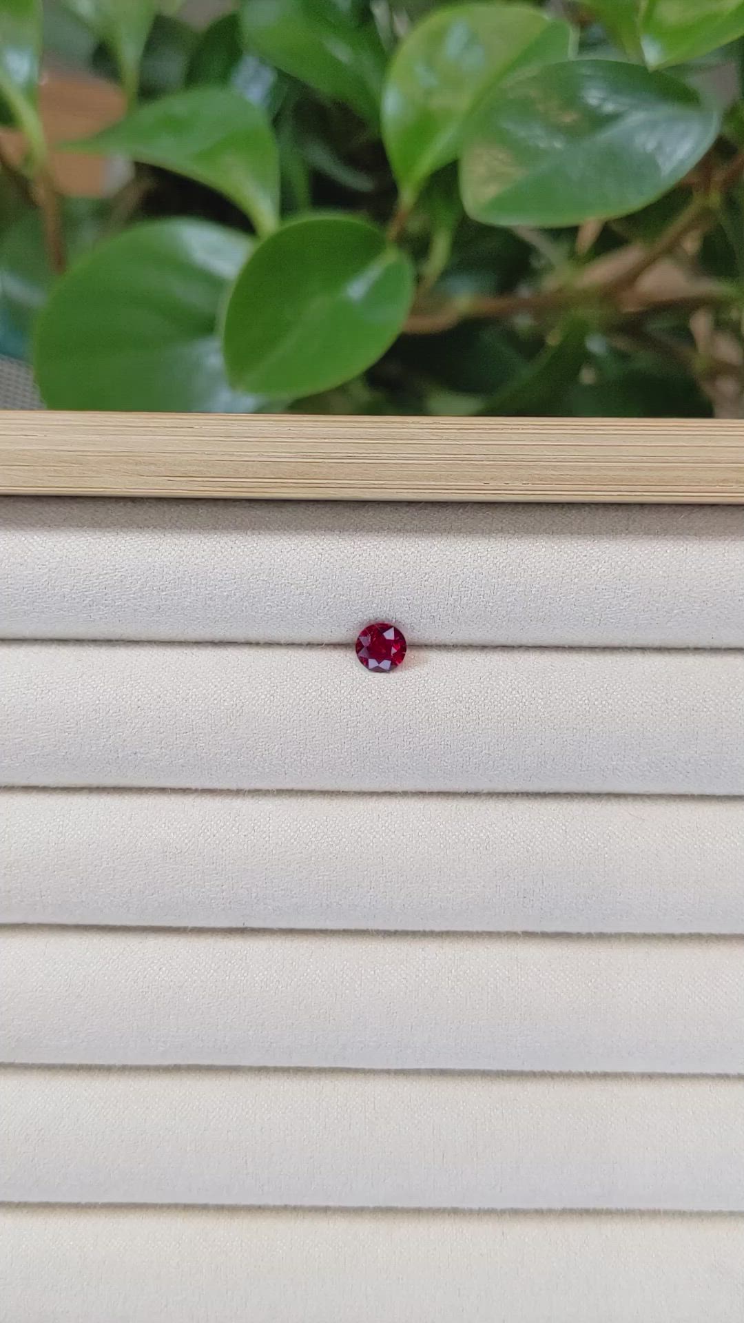 0.68 Ct. Ruby from Mozambique Size Video