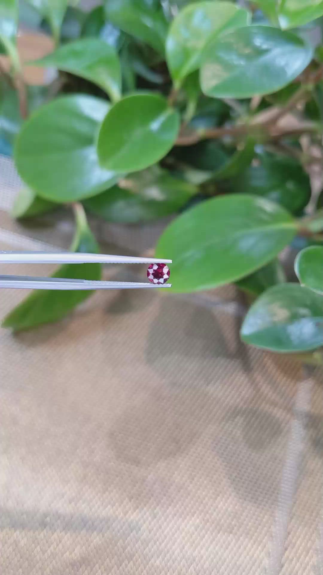 0.68 Ct. Ruby from Mozambique Size Video