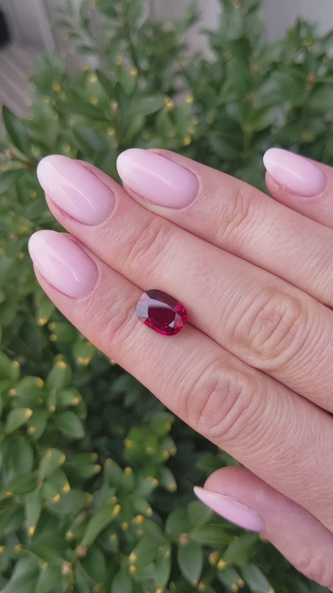 3.03 Ct. Ruby from Mozambique Size Video