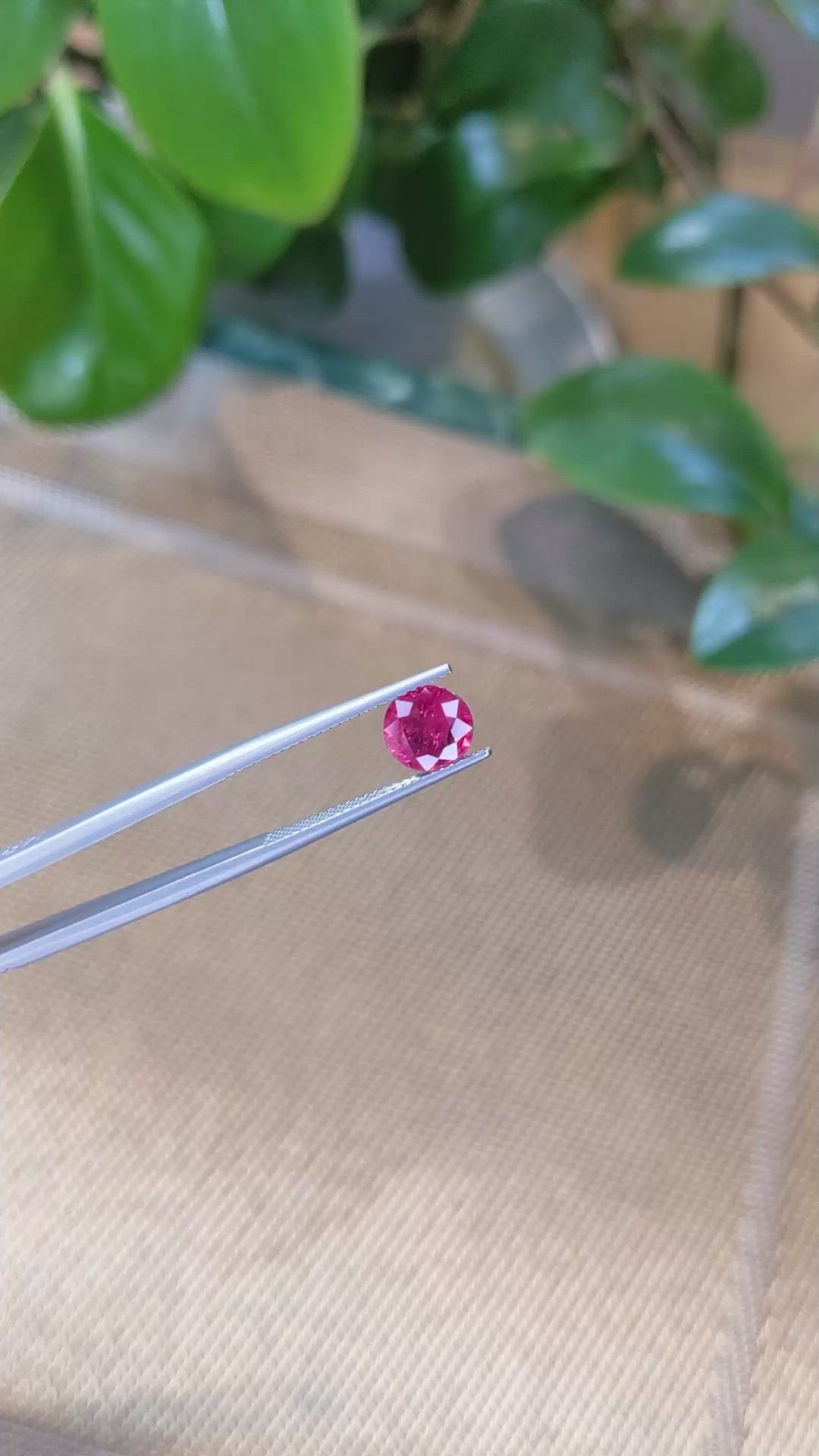 1.56 Ct. Ruby from Mozambique Size Video