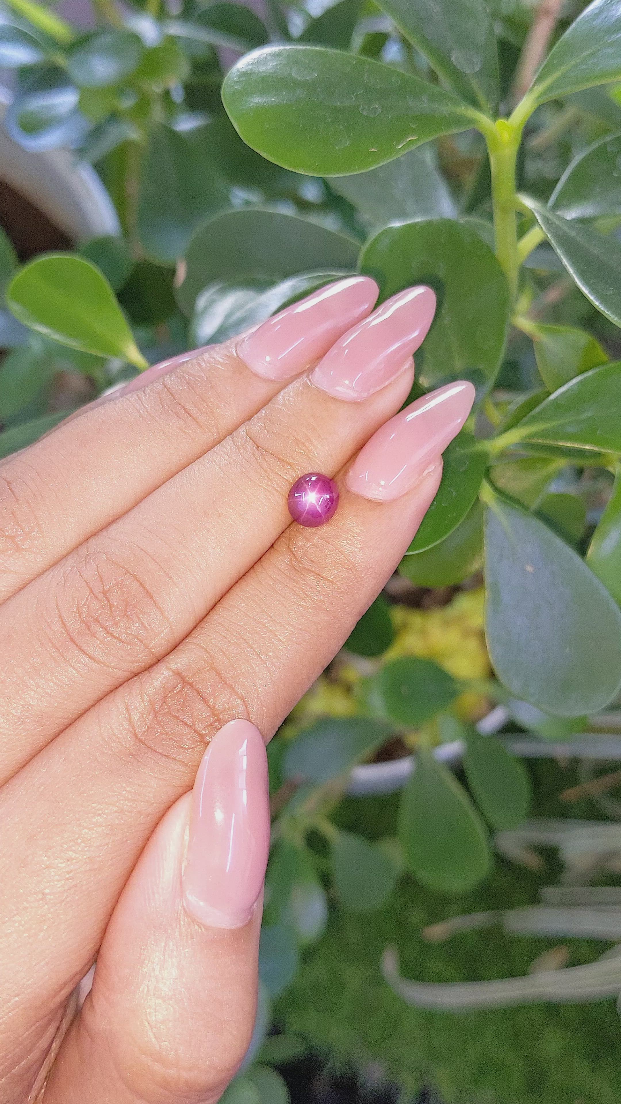 1.80 Ct. Star Ruby from Tanzania Size Video
