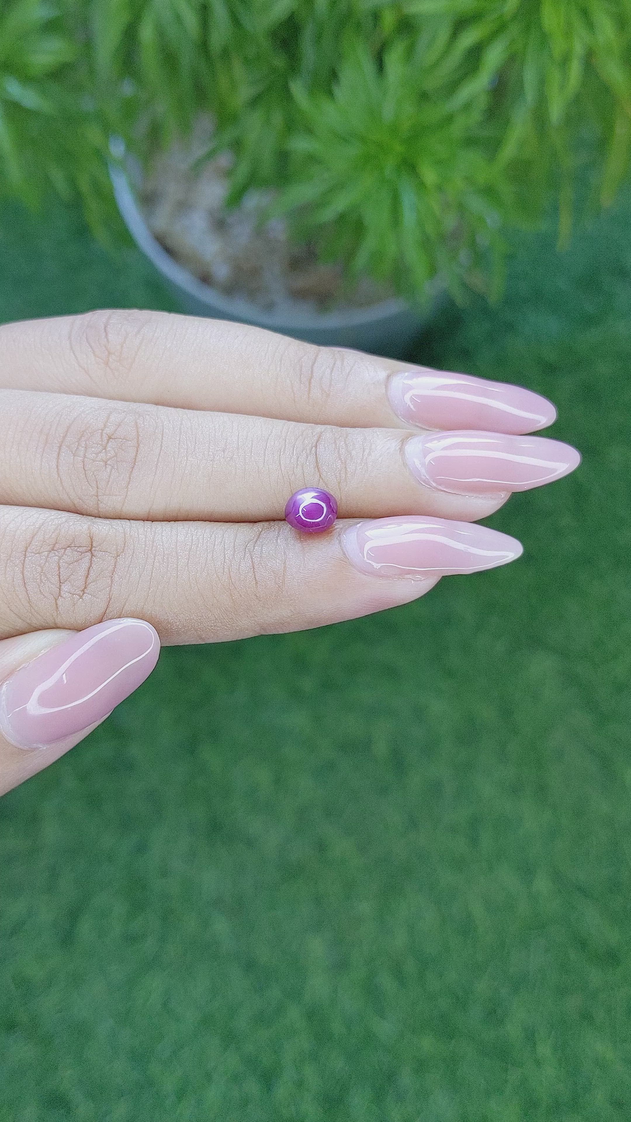 1.80 Ct. Star Ruby from Tanzania Size Video