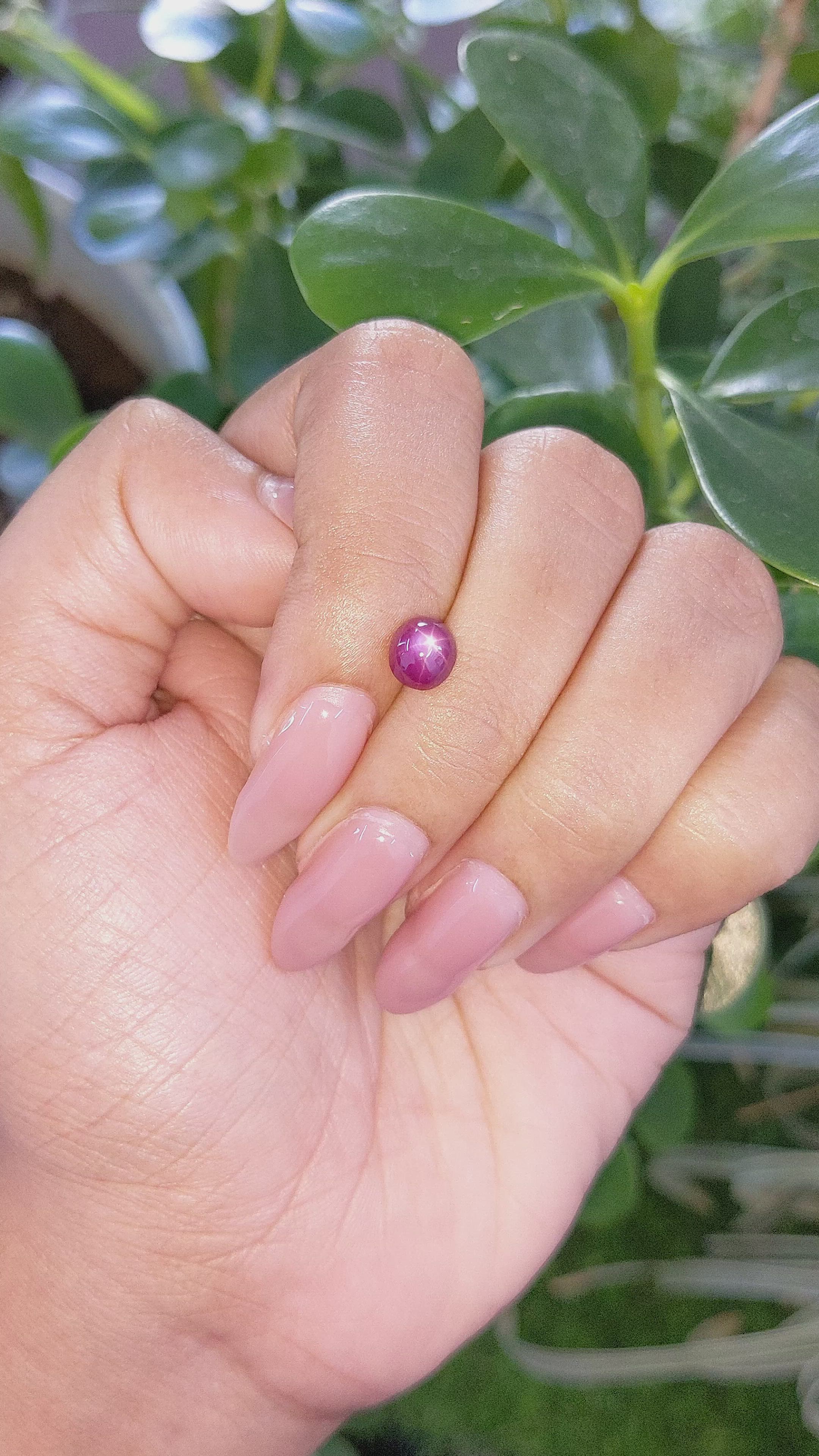 1.80 Ct. Star Ruby from Tanzania Size Video