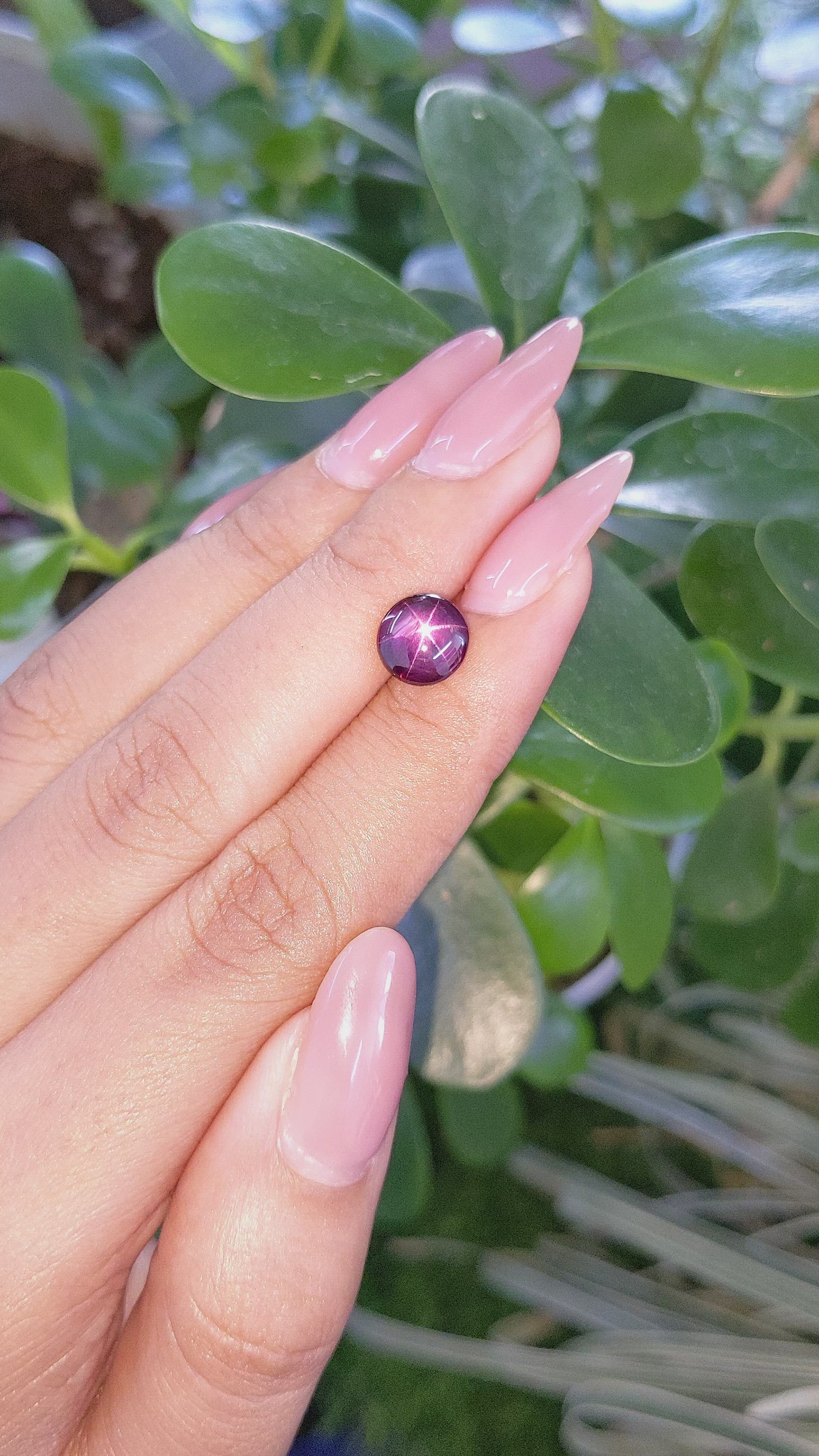 2.87 Ct. Star Ruby from Tanzania Size Video