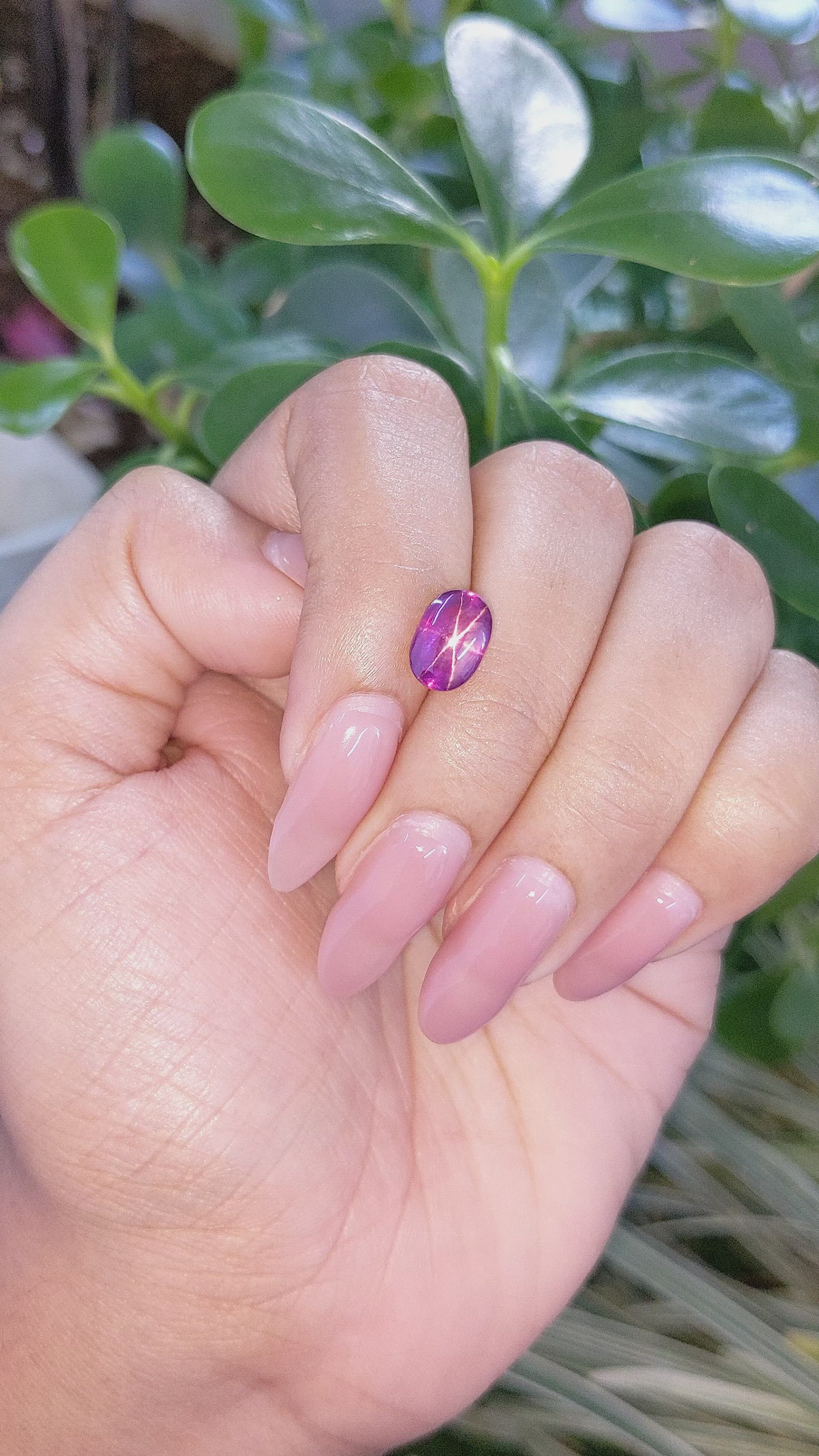 3.49 Ct. Star Ruby from Tanzania Size Video