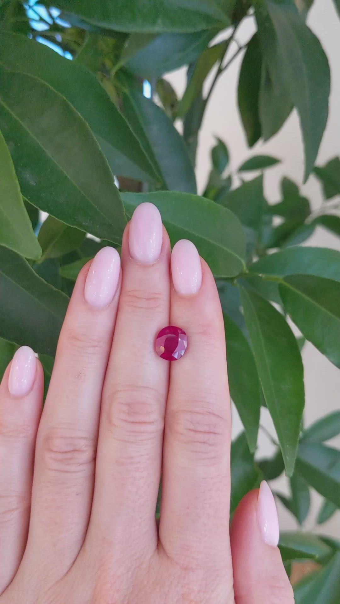 3.25 Ct. Ruby from Mozambique Size Video