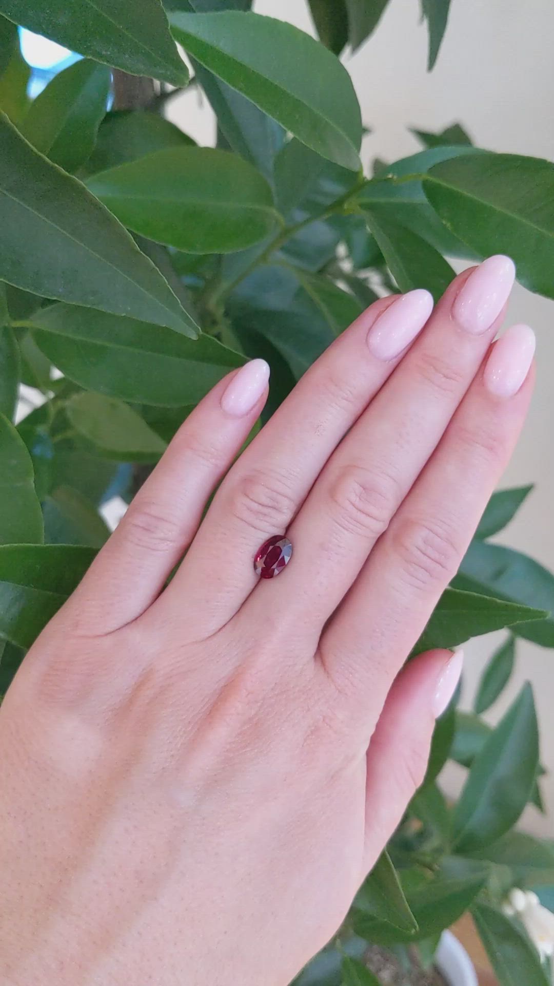 2.40 Ct. Ruby from Mozambique Size Video
