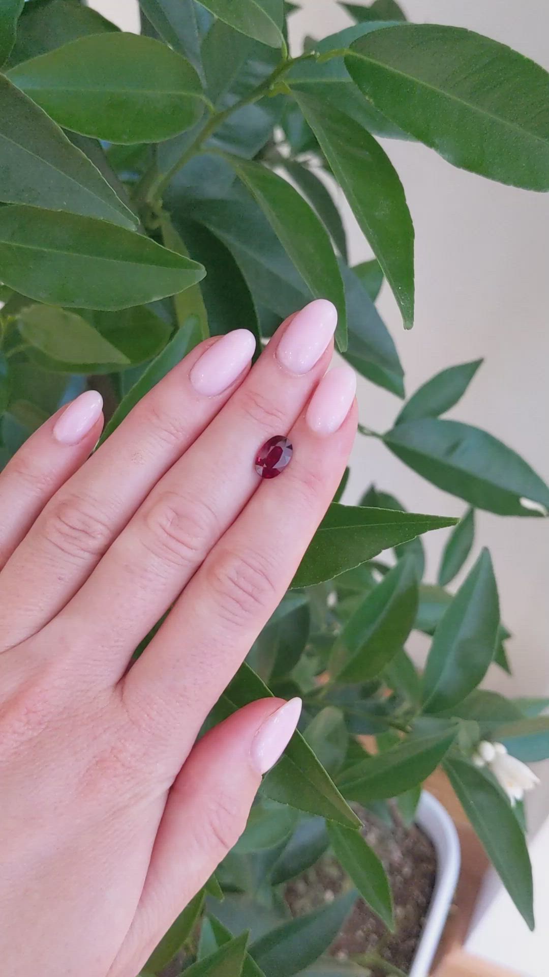 2.40 Ct. Ruby from Mozambique Size Video
