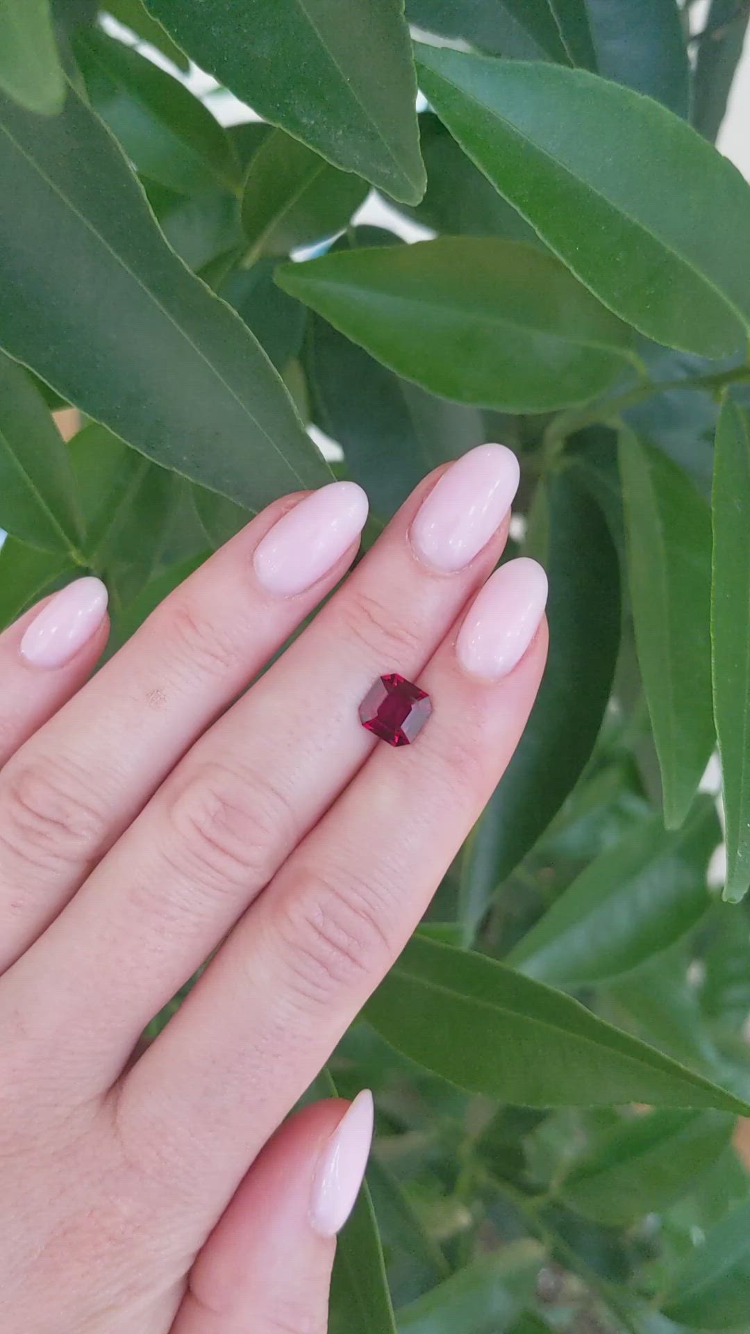 2.01 Ct. Ruby from Mozambique Size Video