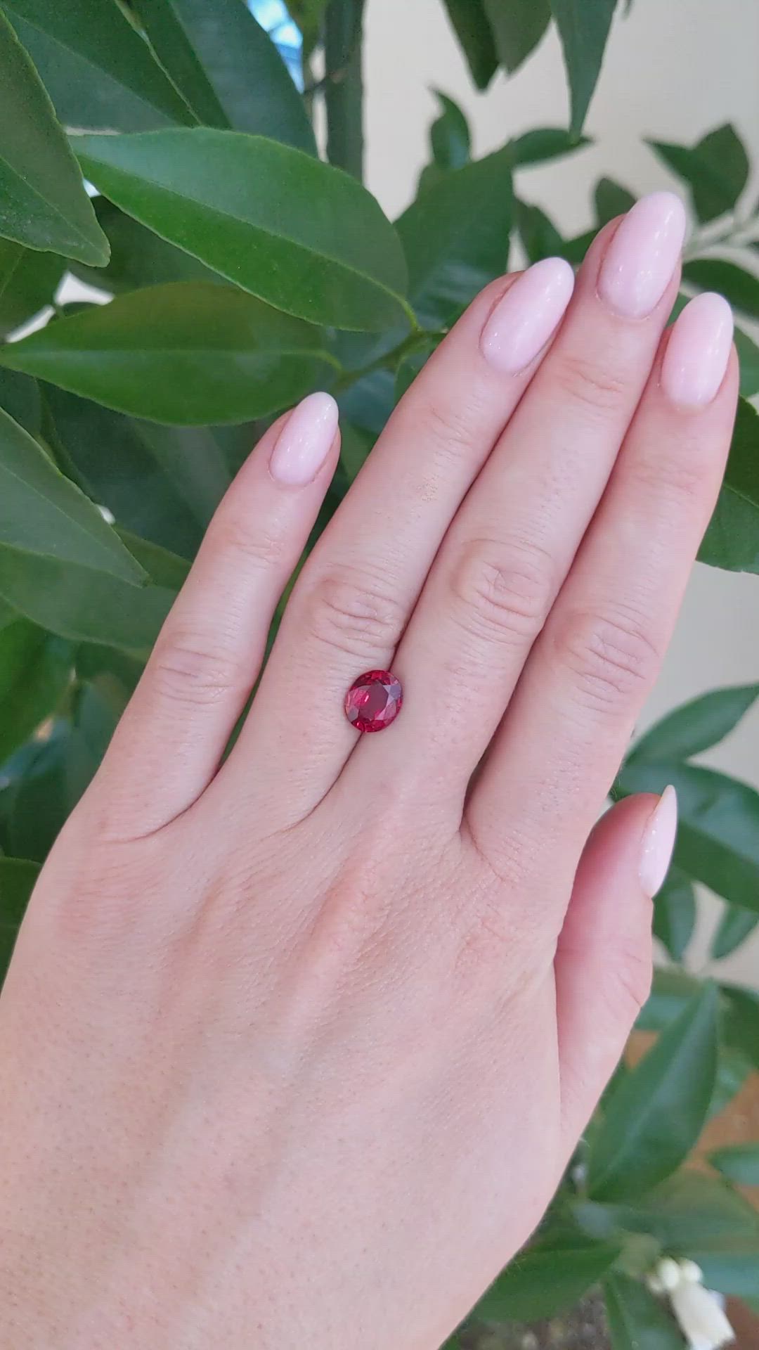 2.29 Ct. Ruby from Mozambique Size Video
