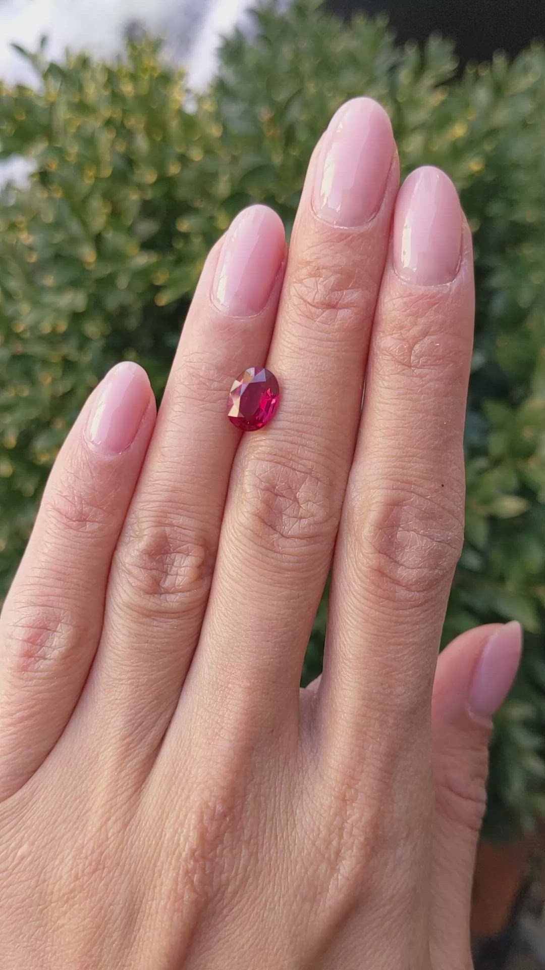 2.30 Ct. Ruby from Mozambique Size Video