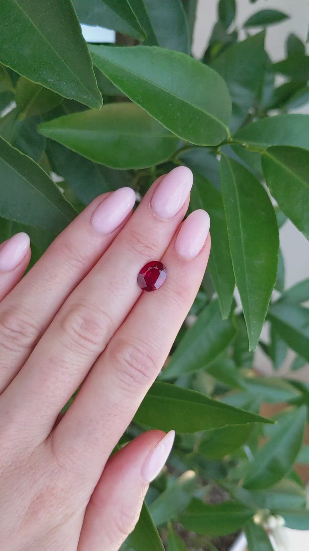 2.35 Ct. Ruby from Mozambique Size Video