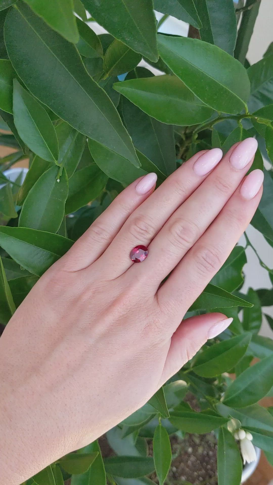 2.35 Ct. Ruby from Mozambique Size Video