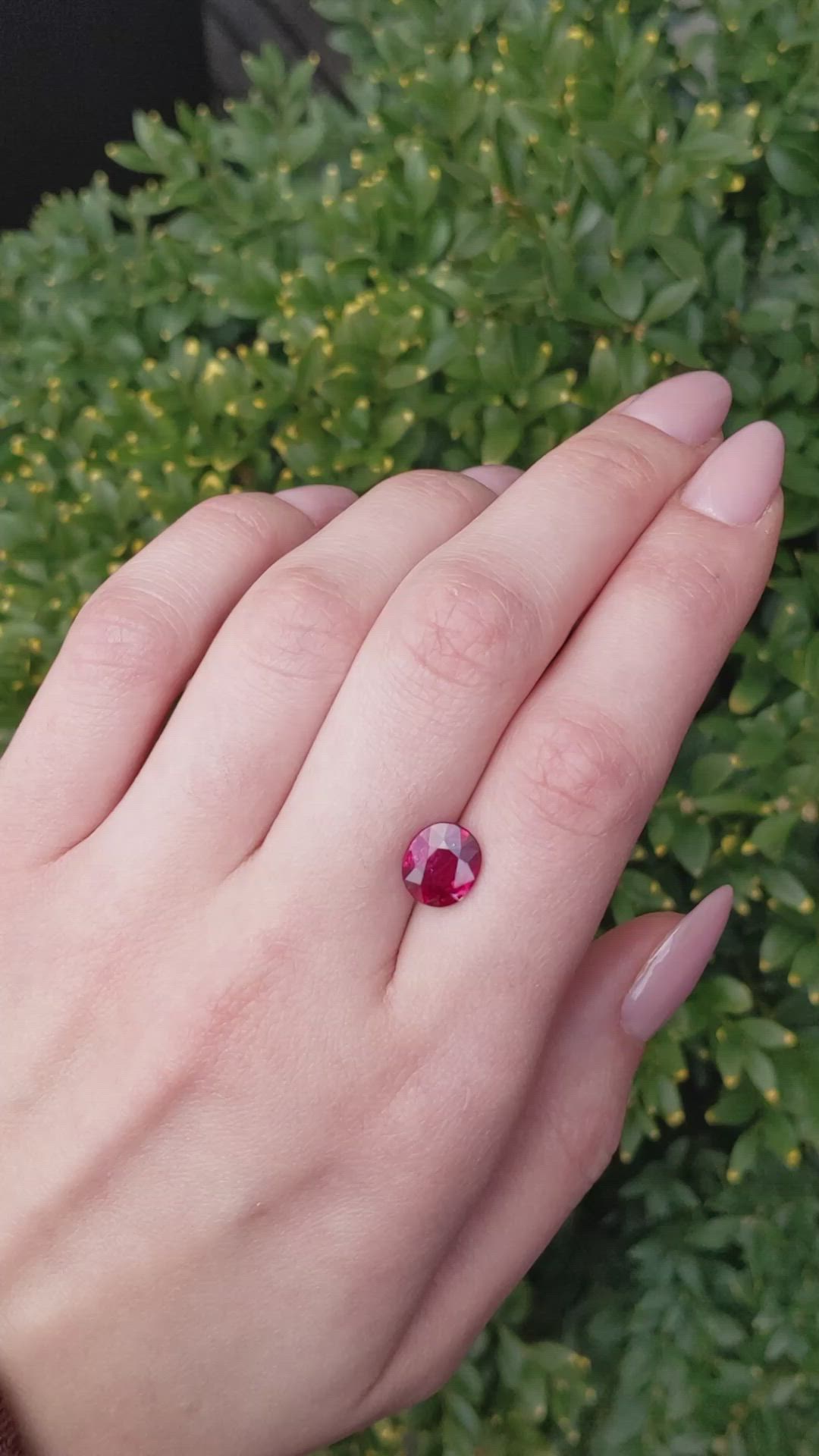 3.33 Ct. Ruby from Mozambique Size Video