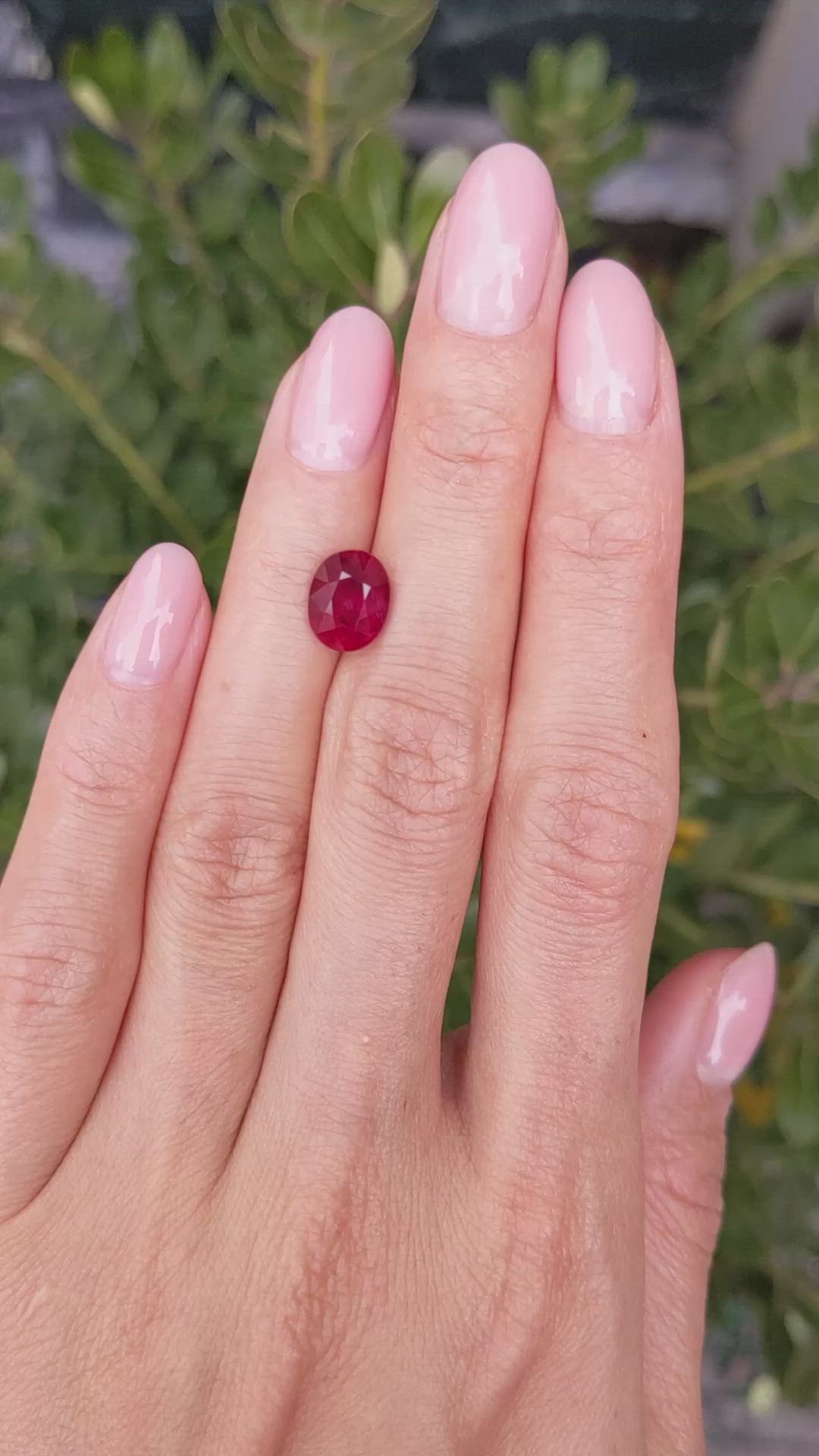 3.10 Ct. Ruby from Mozambique Size Video