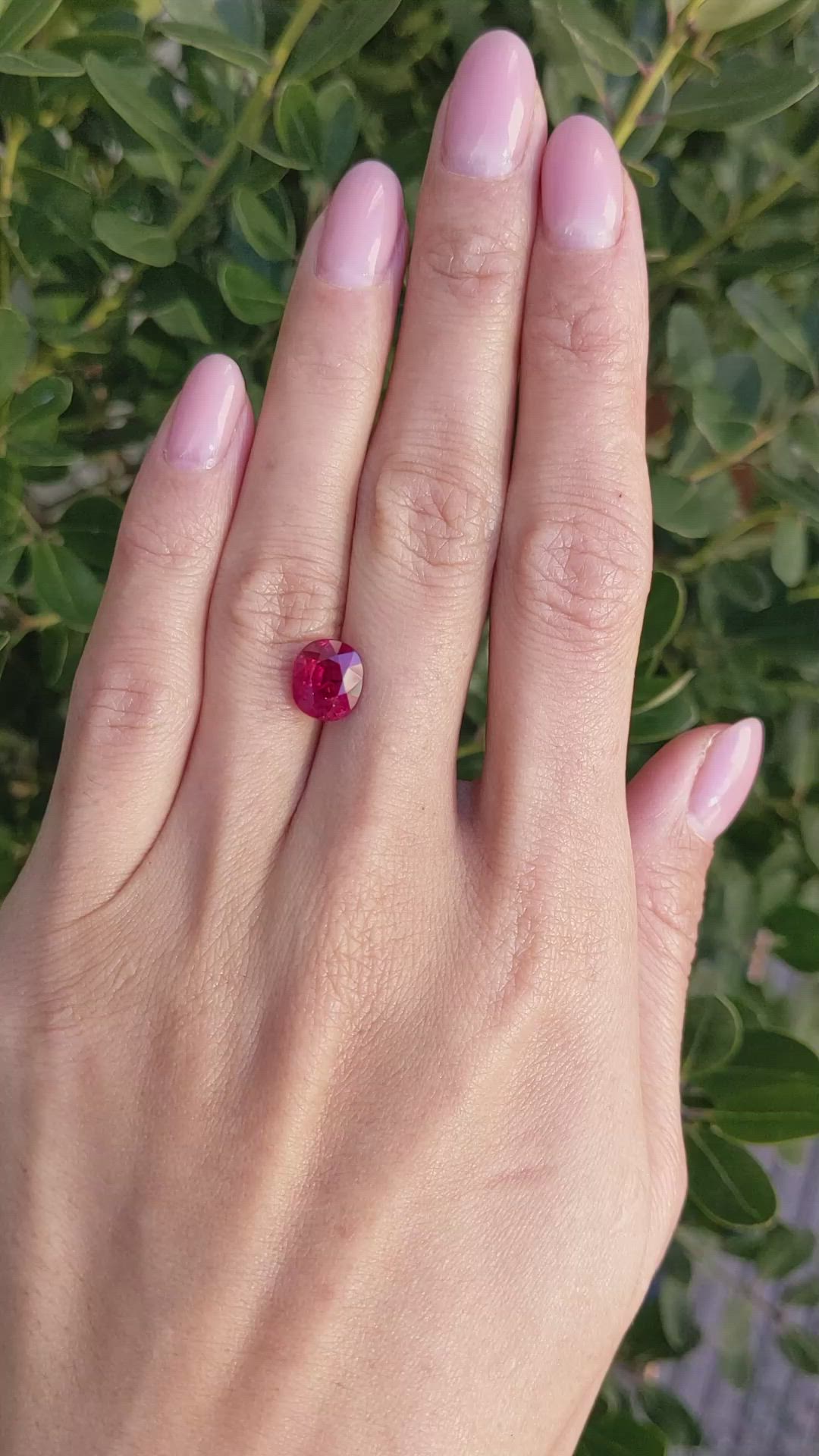 3.51 Ct. Ruby from Mozambique Size Video