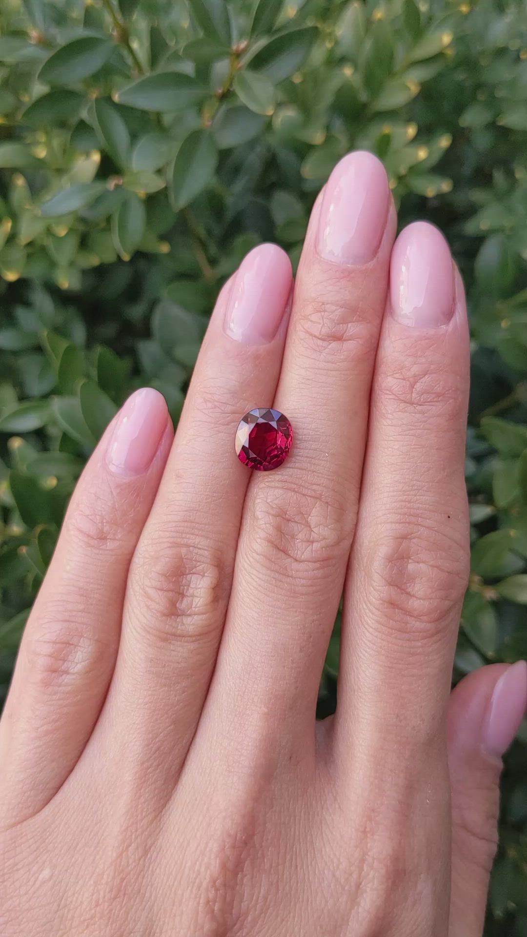 3.13 Ct. Ruby from Mozambique Size Video