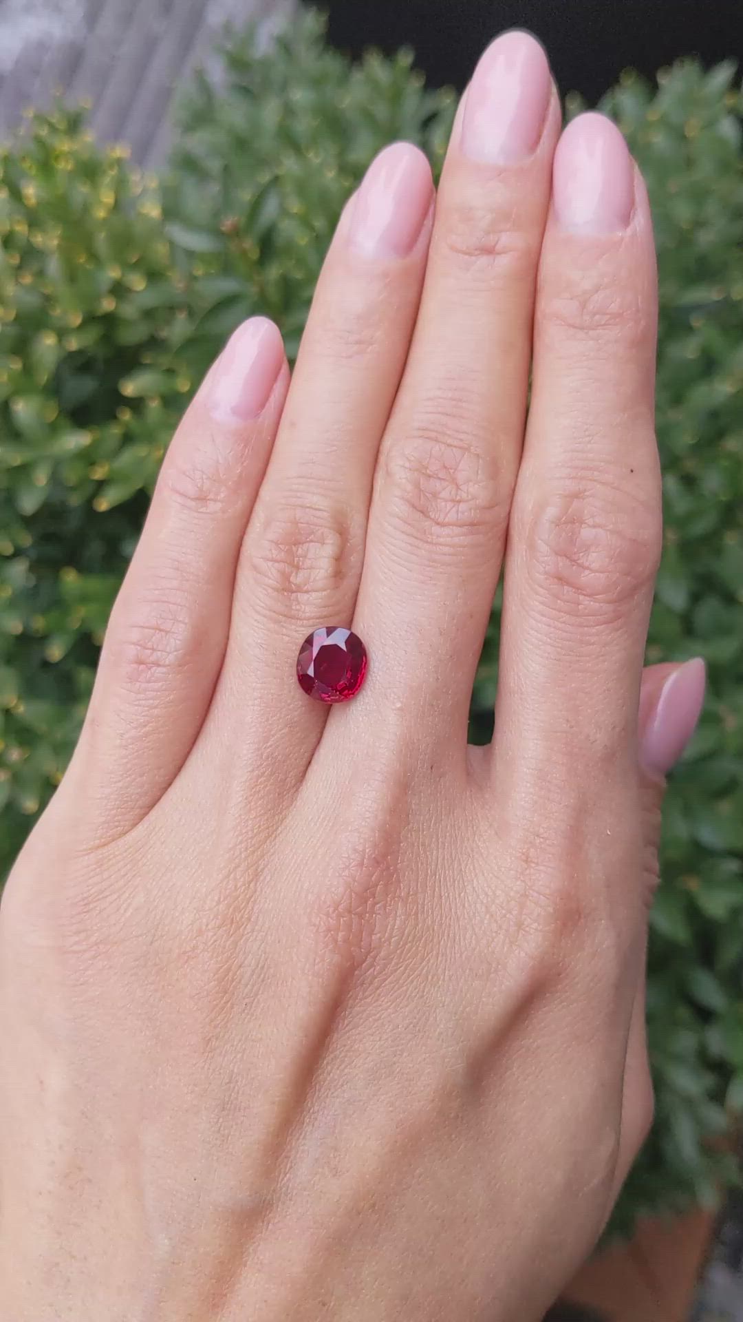 3.12 Ct. Ruby from Mozambique Size Video