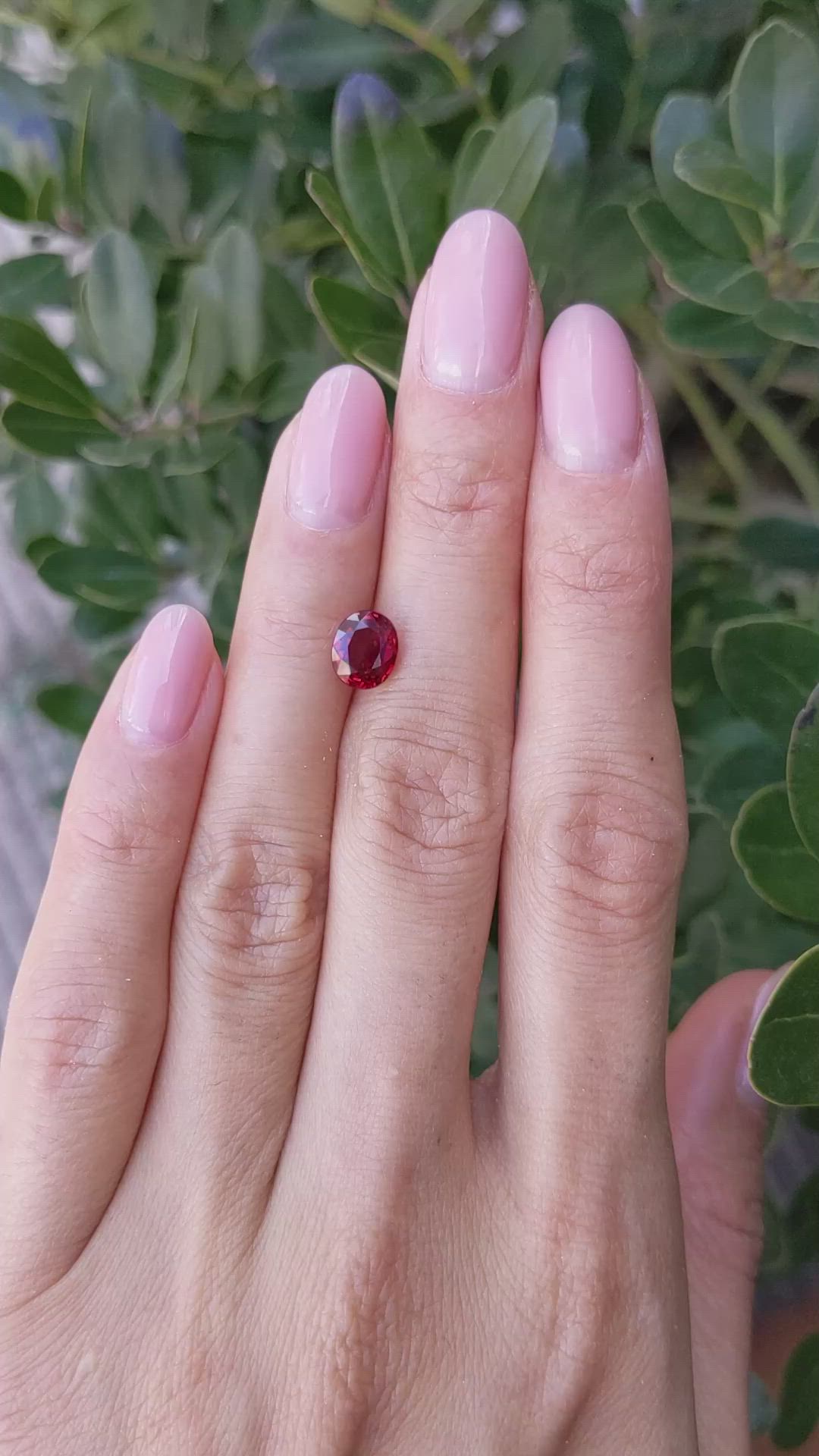1.98 Ct. Ruby from Mozambique Size Video